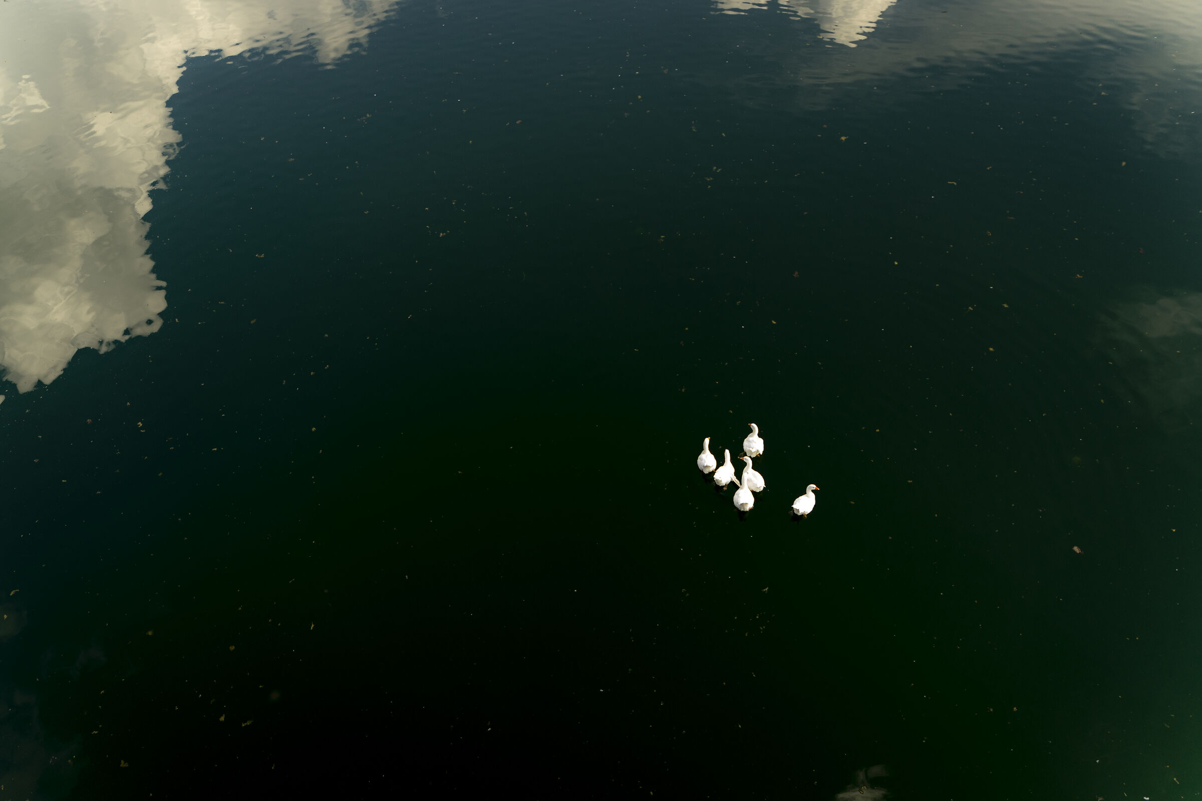 Volo riflesso