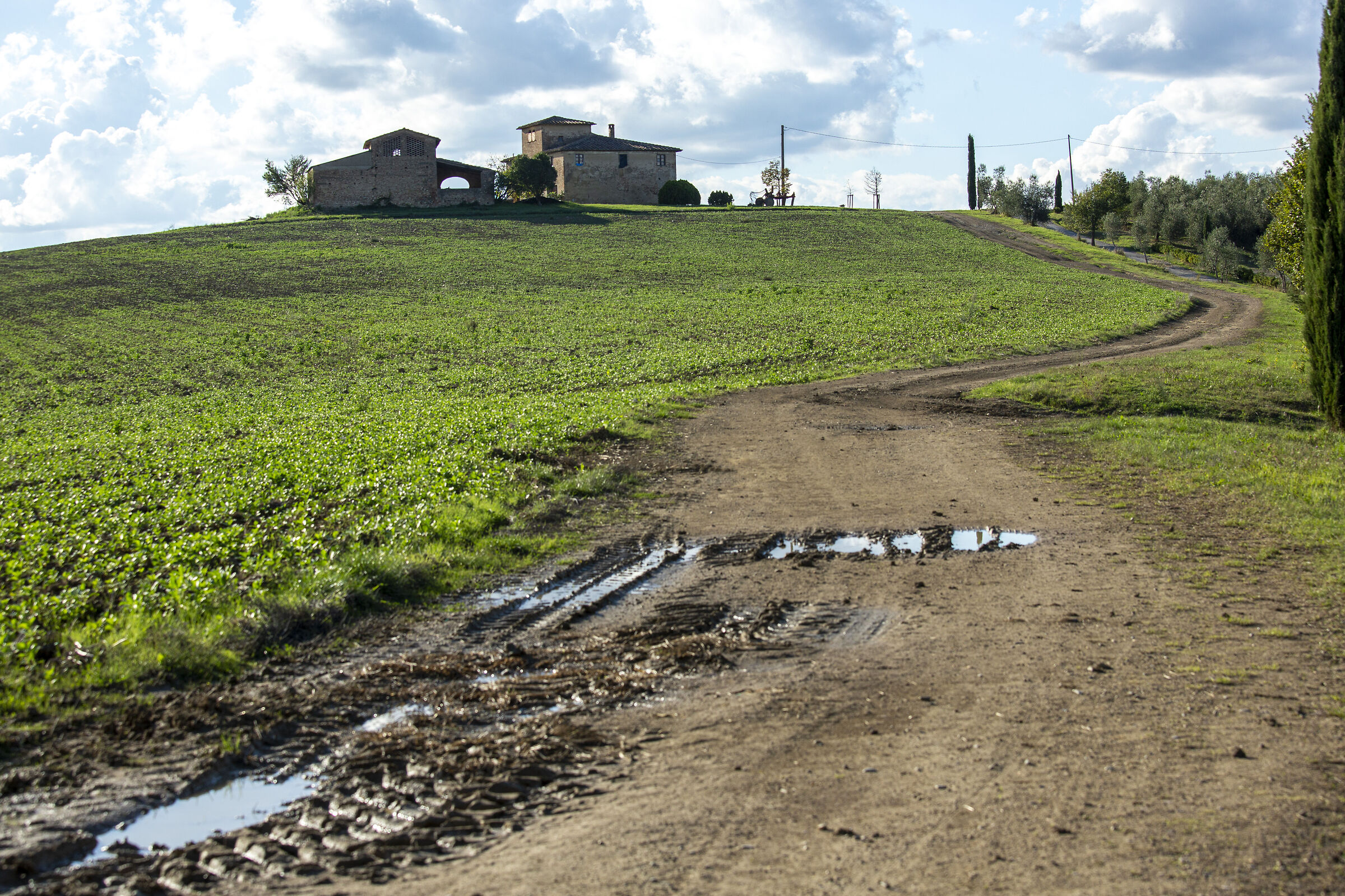 Montespertoli, Firenze, Toscana