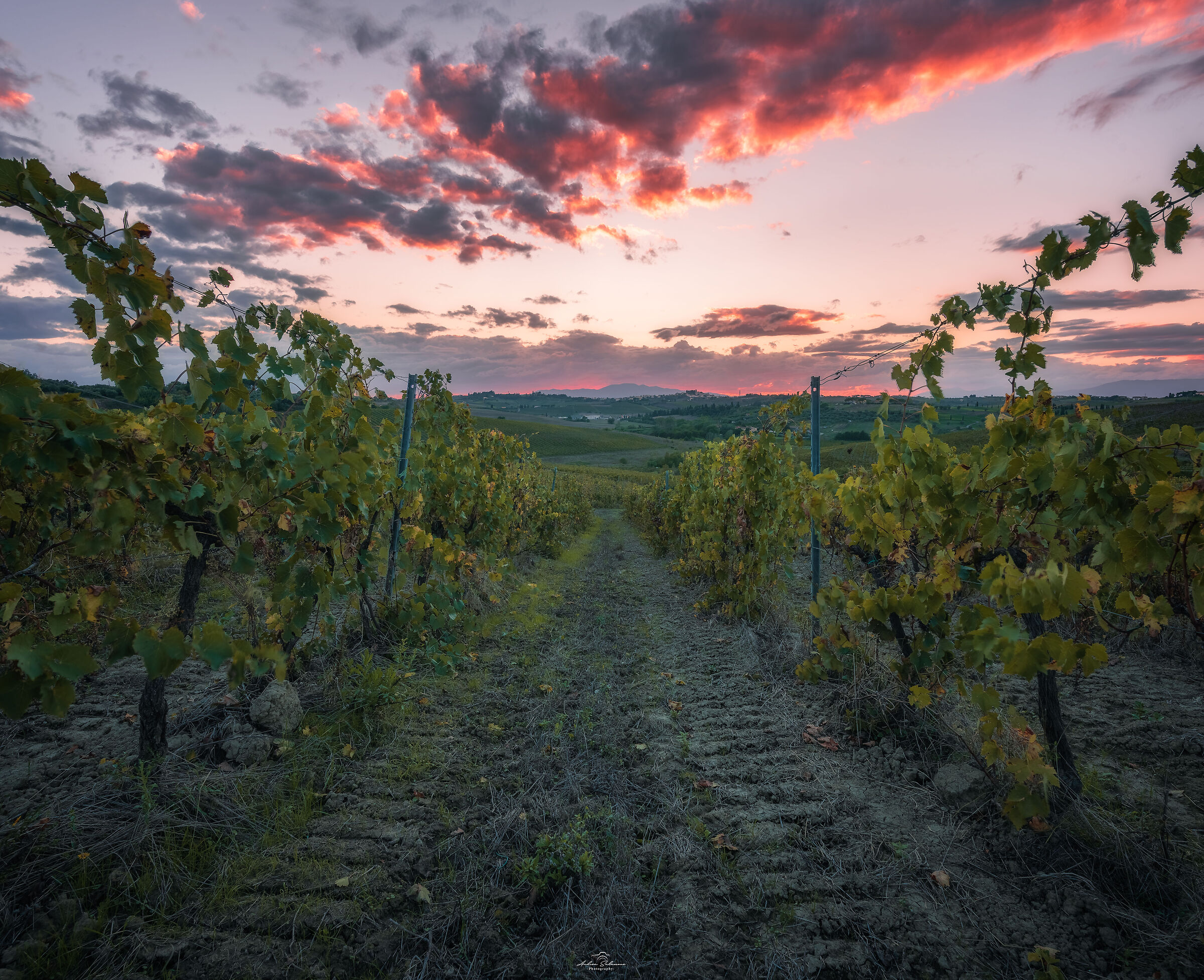 Tramonto rosso di vino