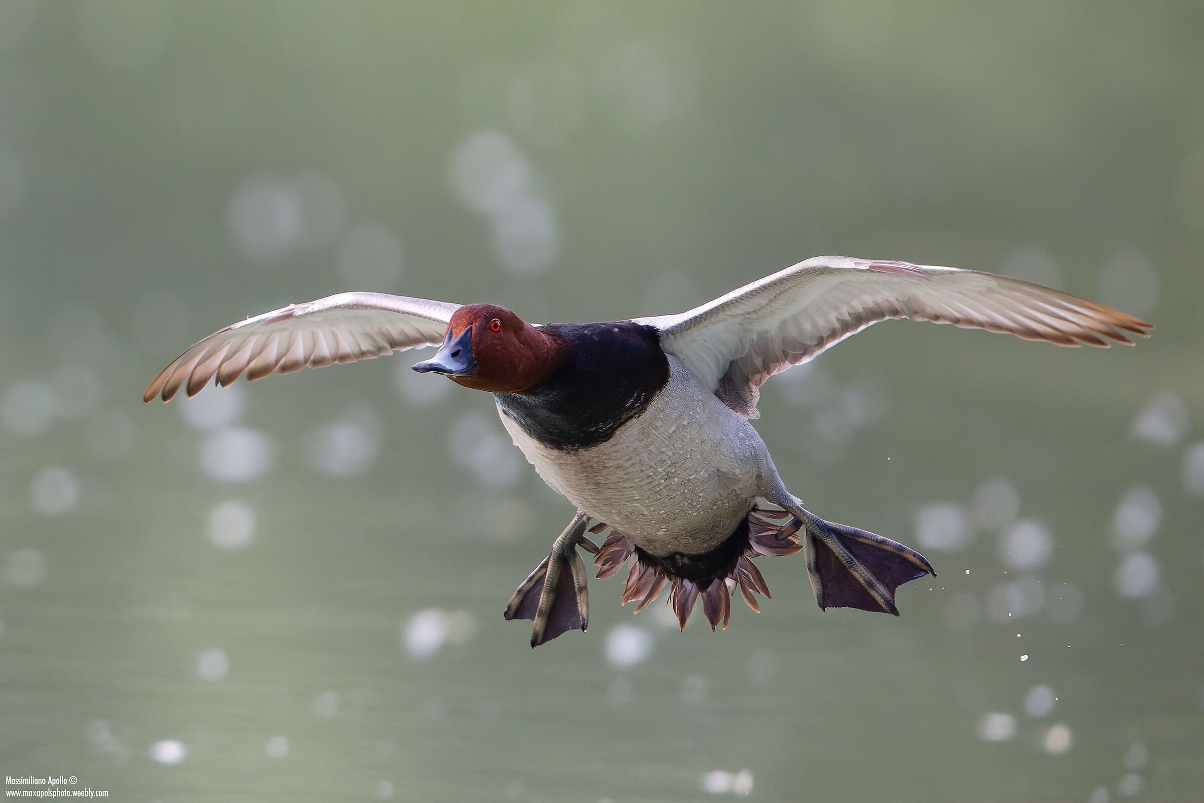 "Landing with flaps open.."