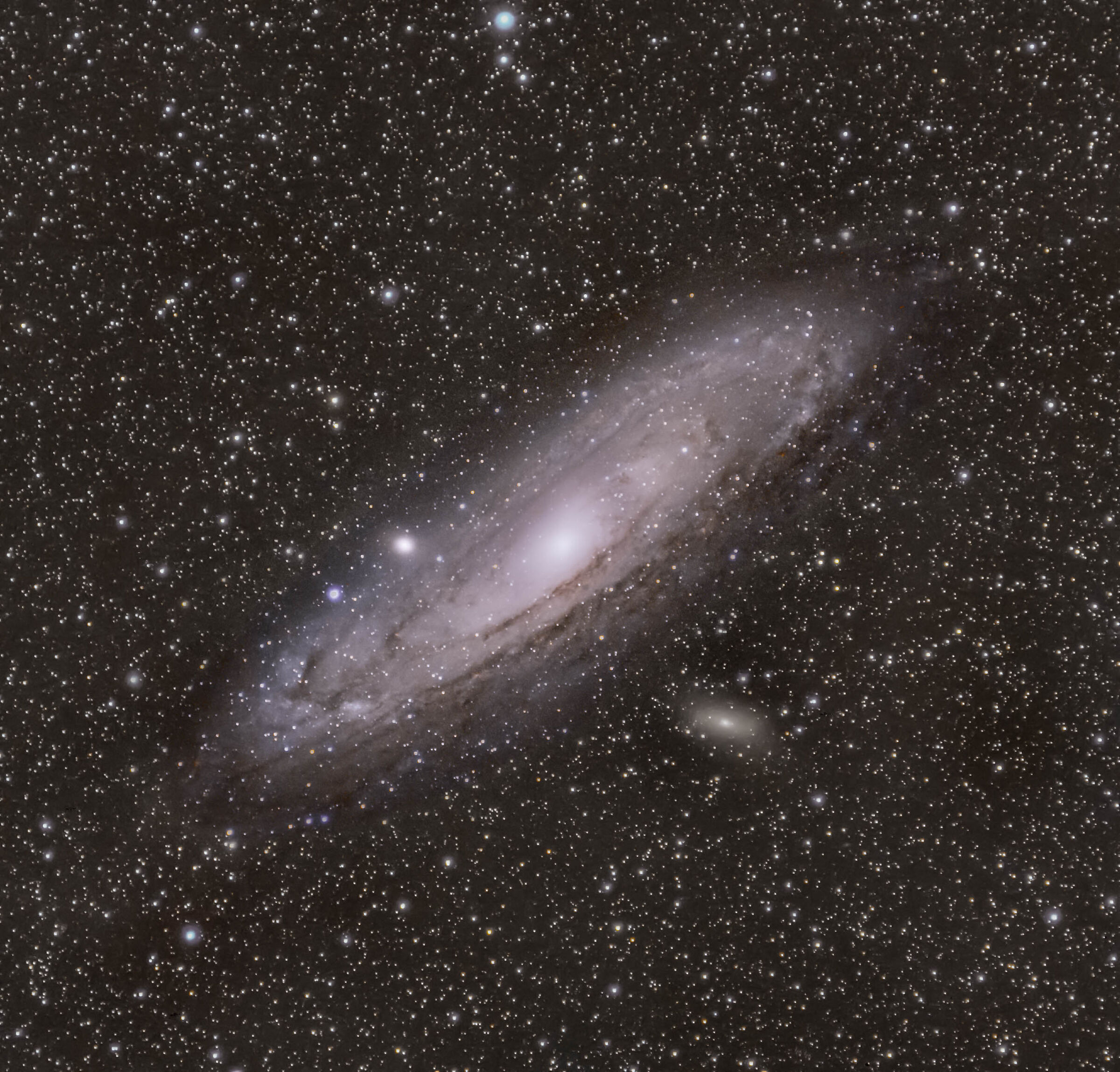 Andromeda