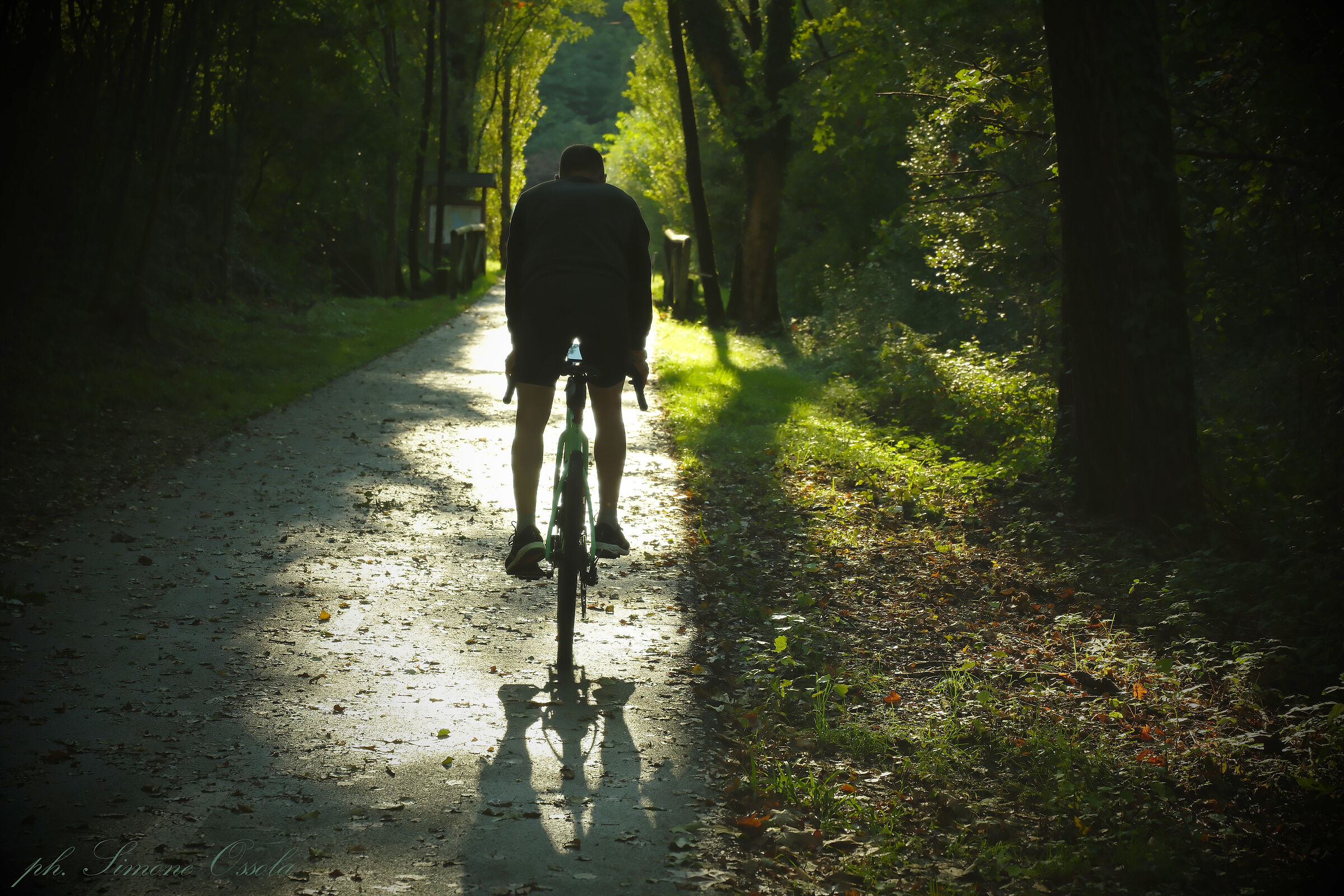 Cyclist backlit