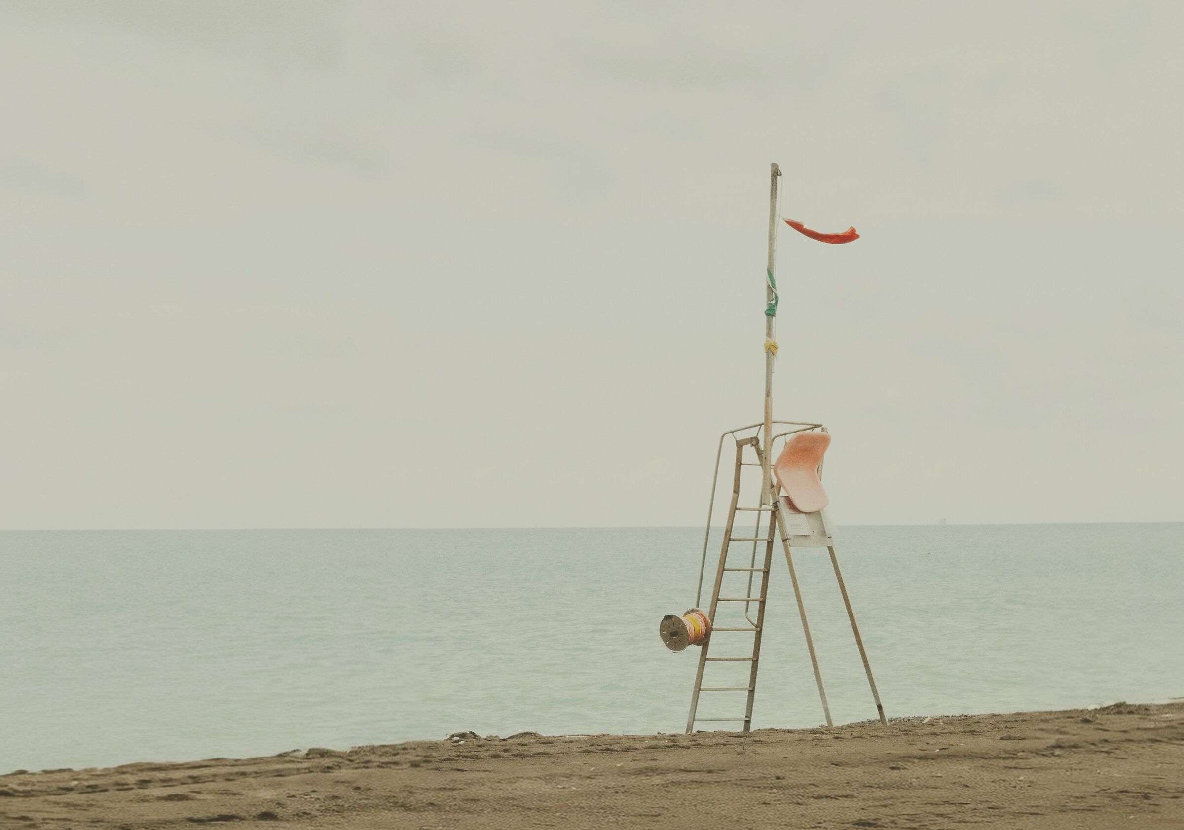 Untitled Photo