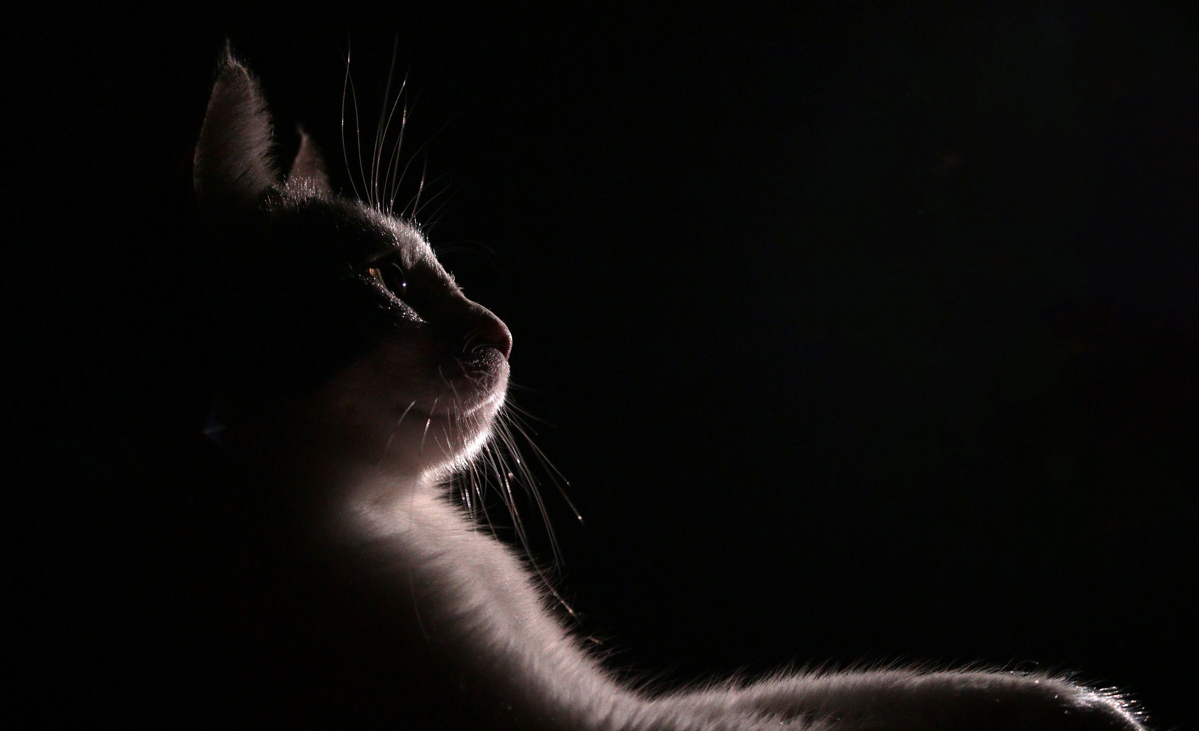 Winnie Tra Luce ed Ombra