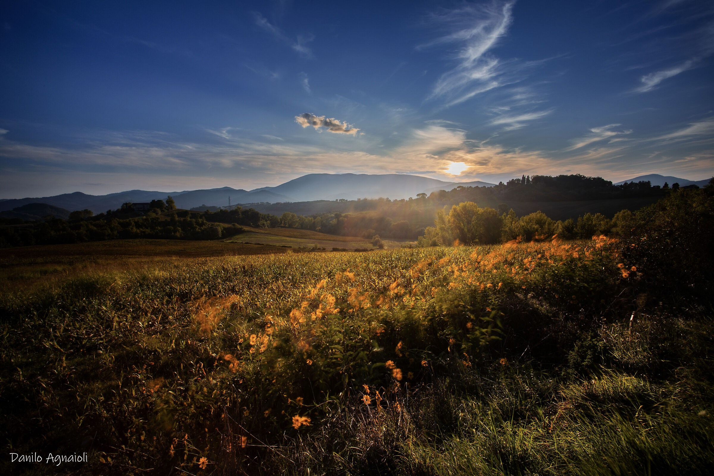 Dance in the wind in an autumn sunset