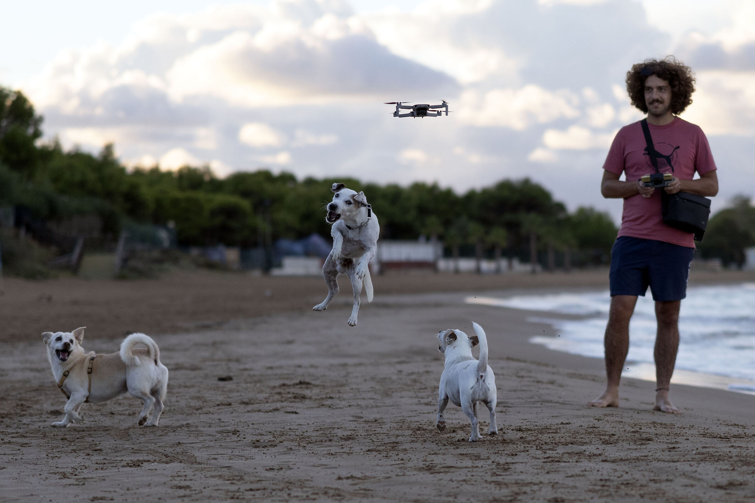 Anti Drone Dog