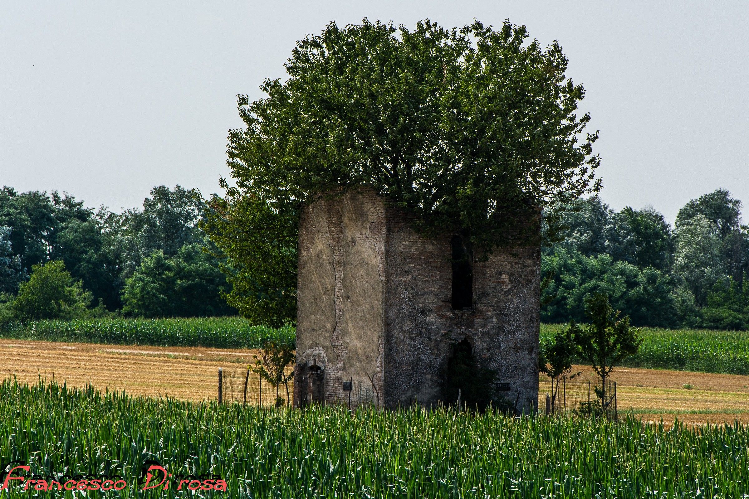 non sono  mai  uscita  di casa