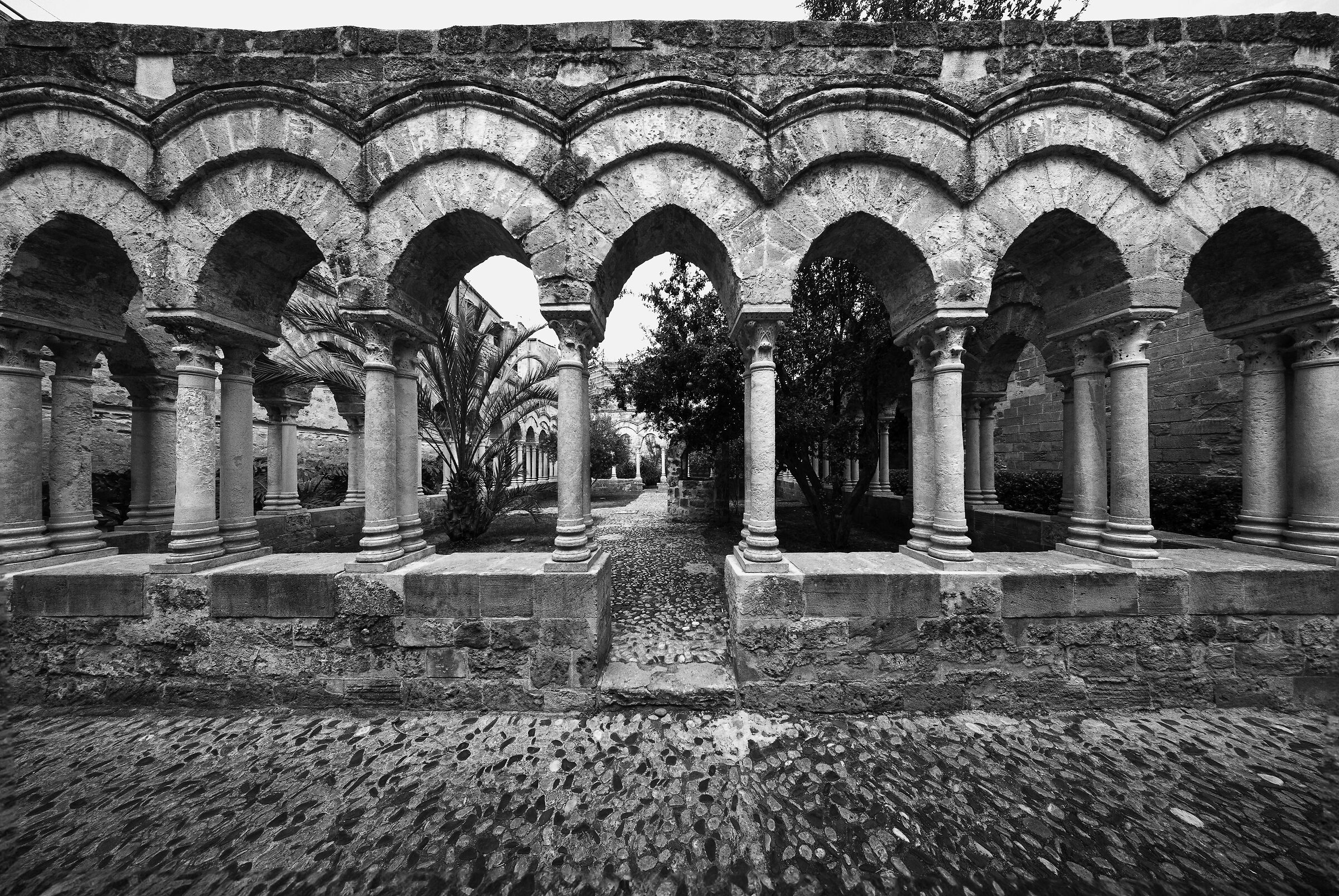 Cloister of San Giovanni degli eremiti Palermo