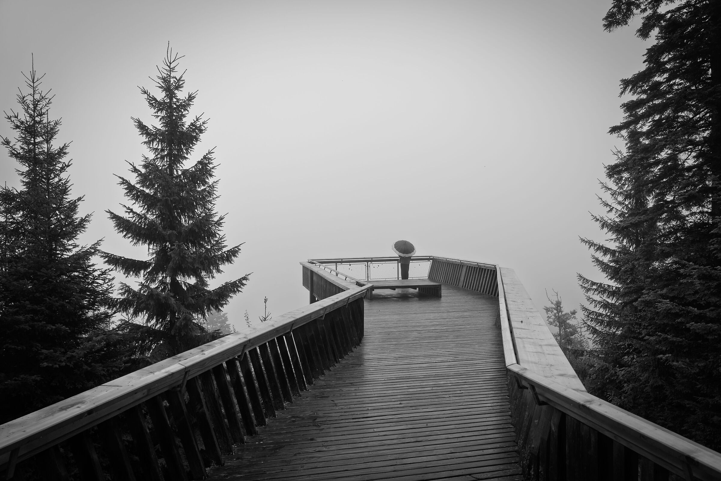 The fog on the steep hills