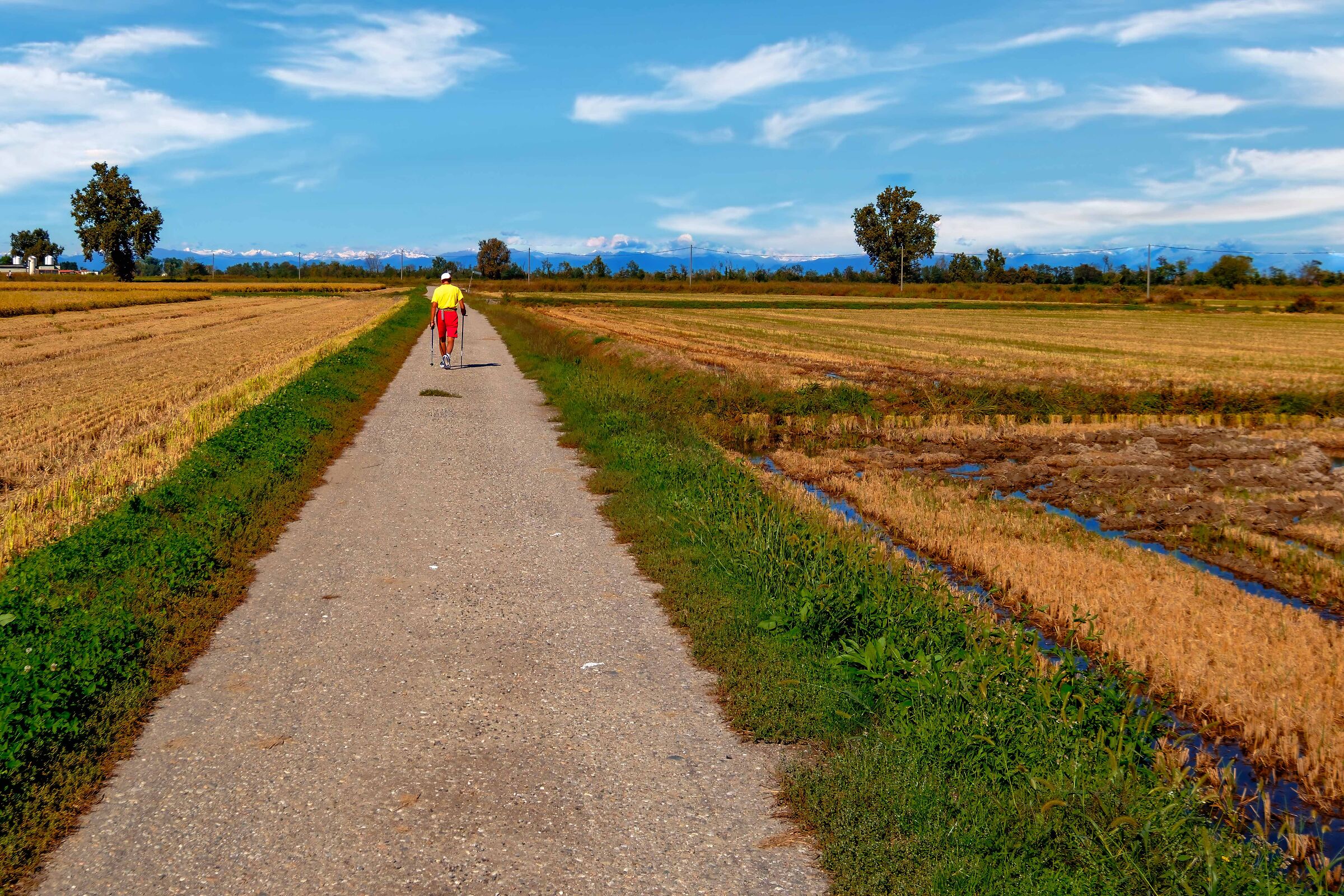 The road is long, the road narrow.....