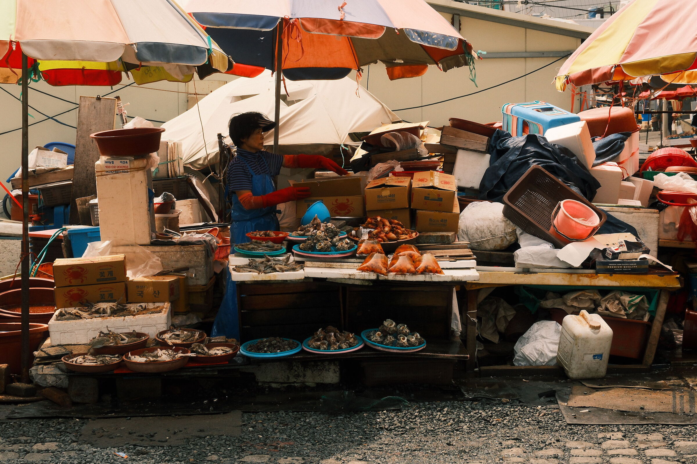 Jagalchi Market
