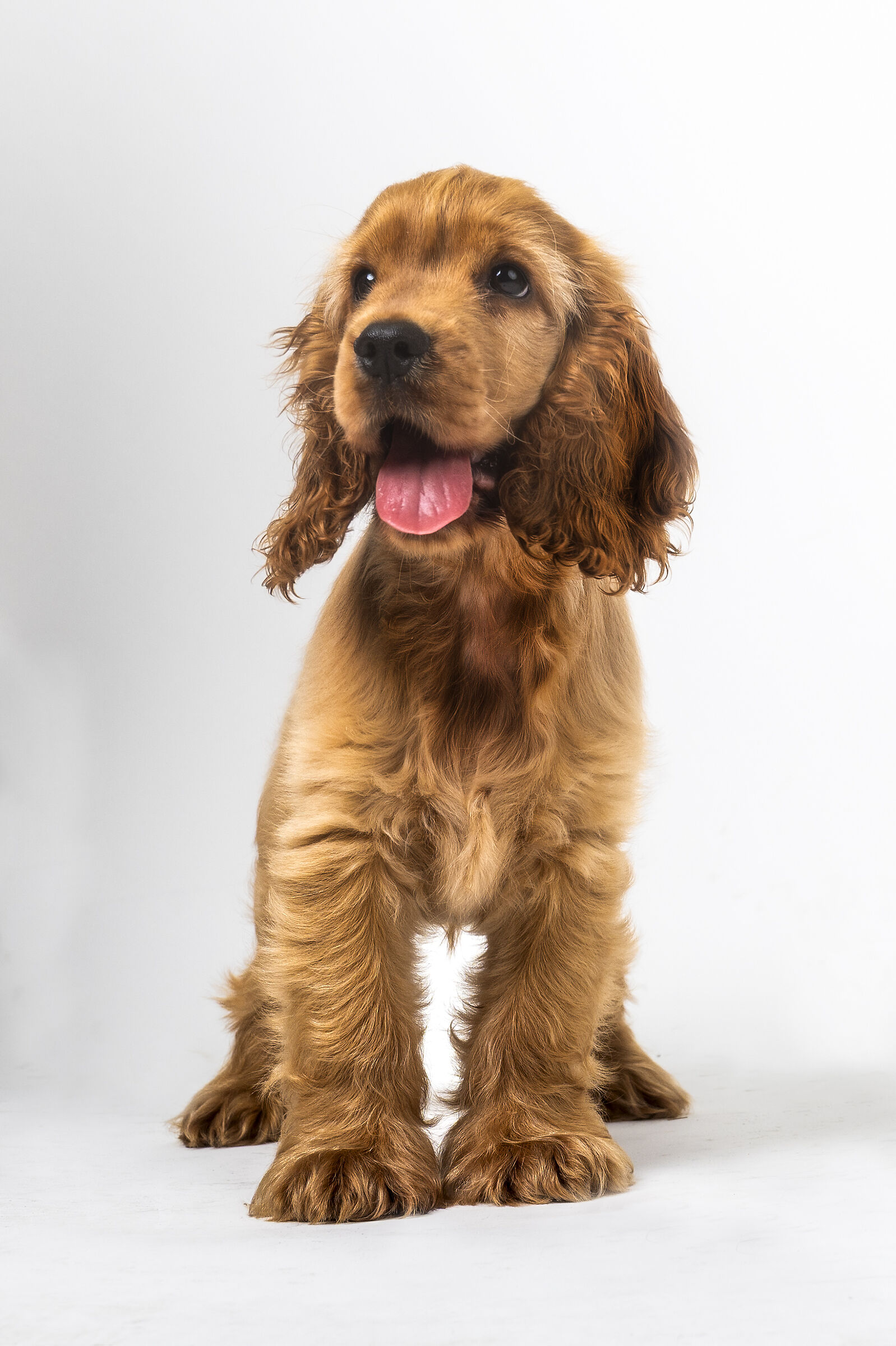 Graziella - 4 months