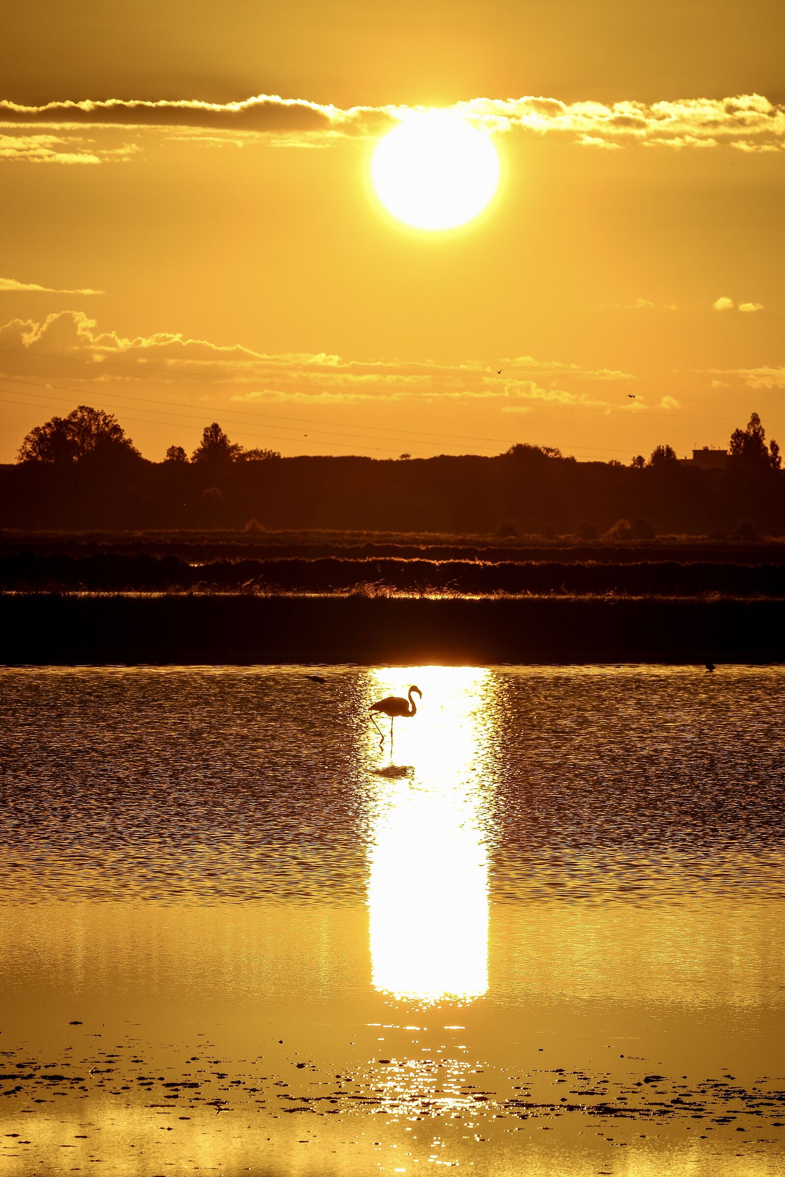 Caldo tepore del mattino