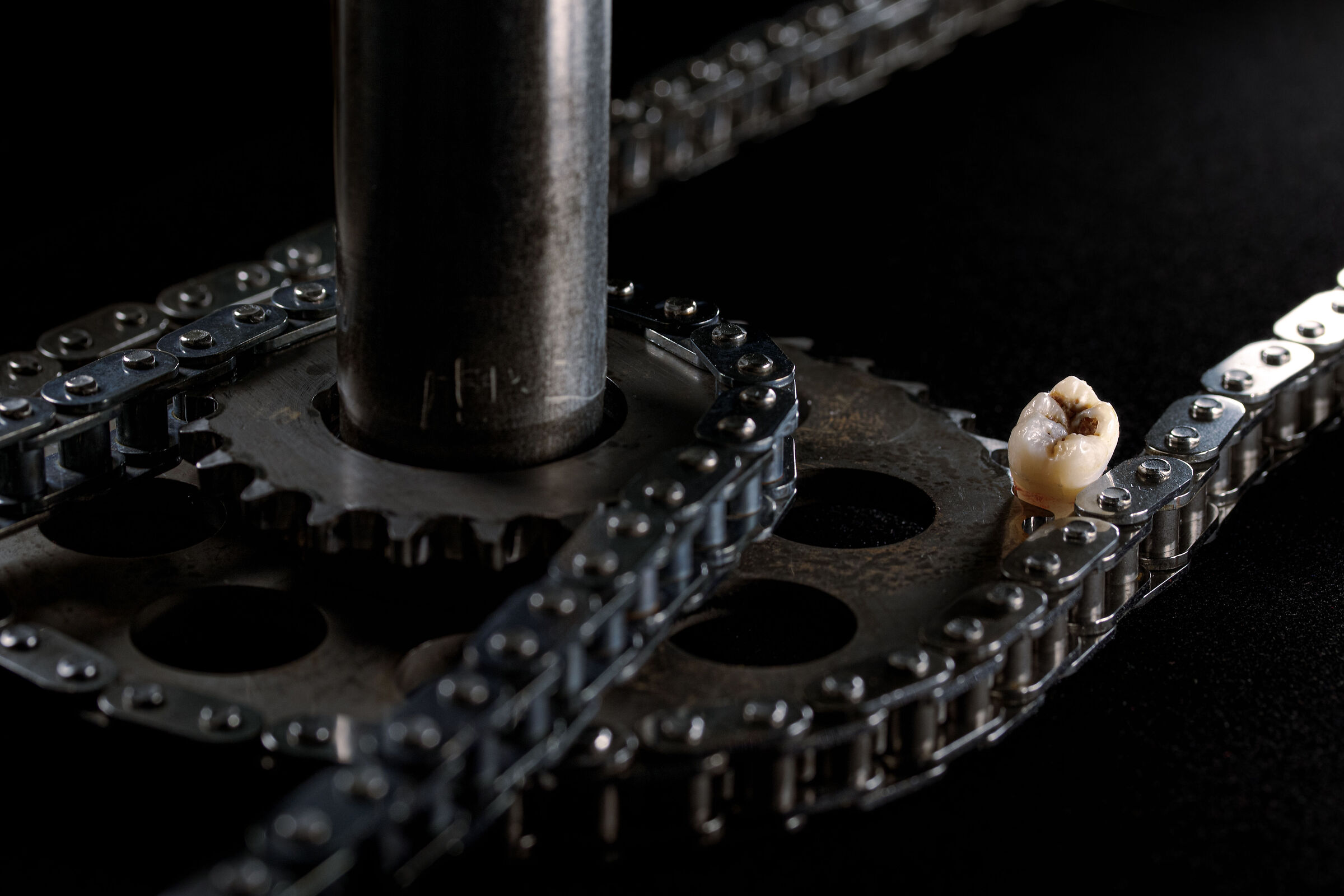 Incastrato nella catena evolutiva