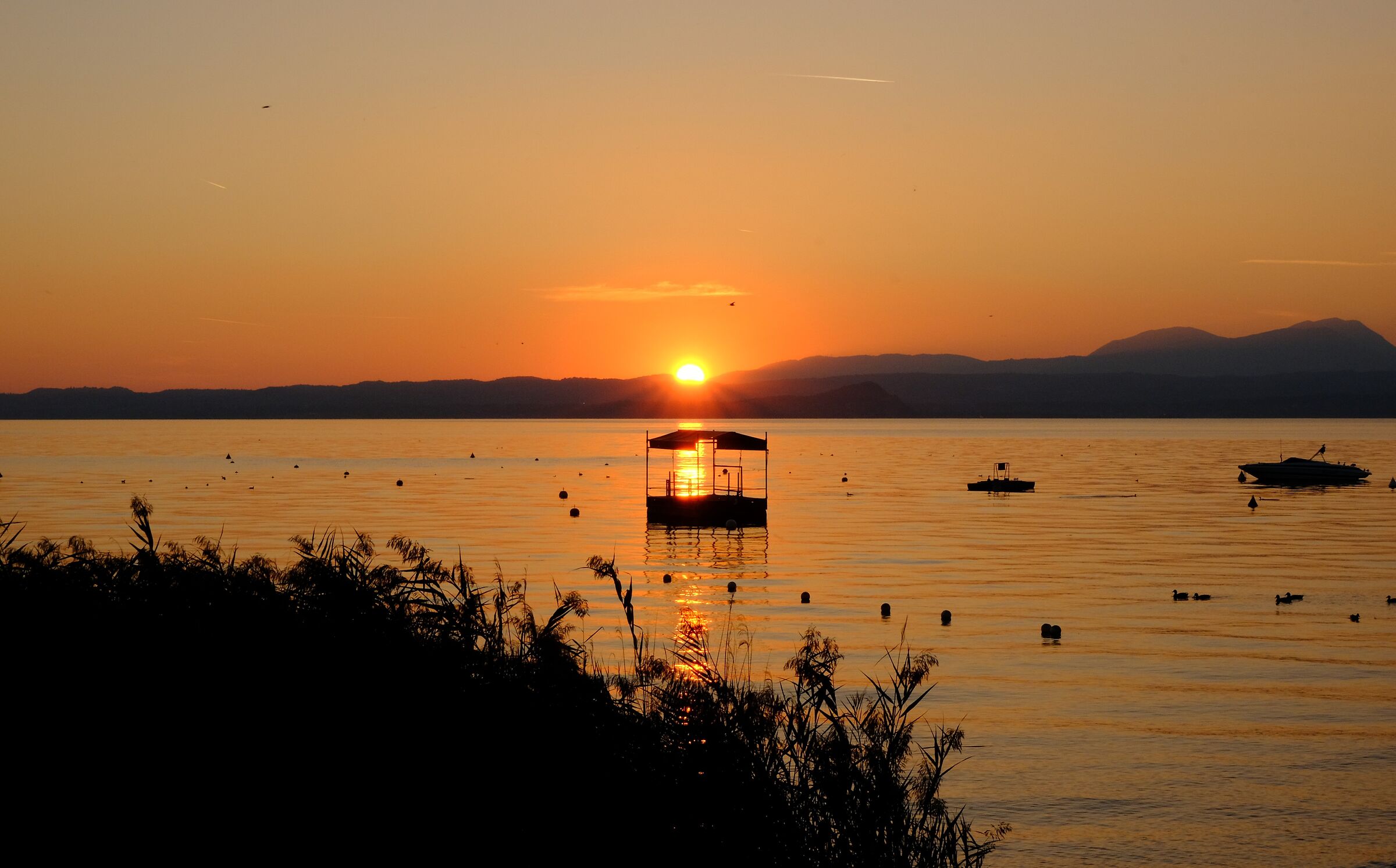 Bardolino.