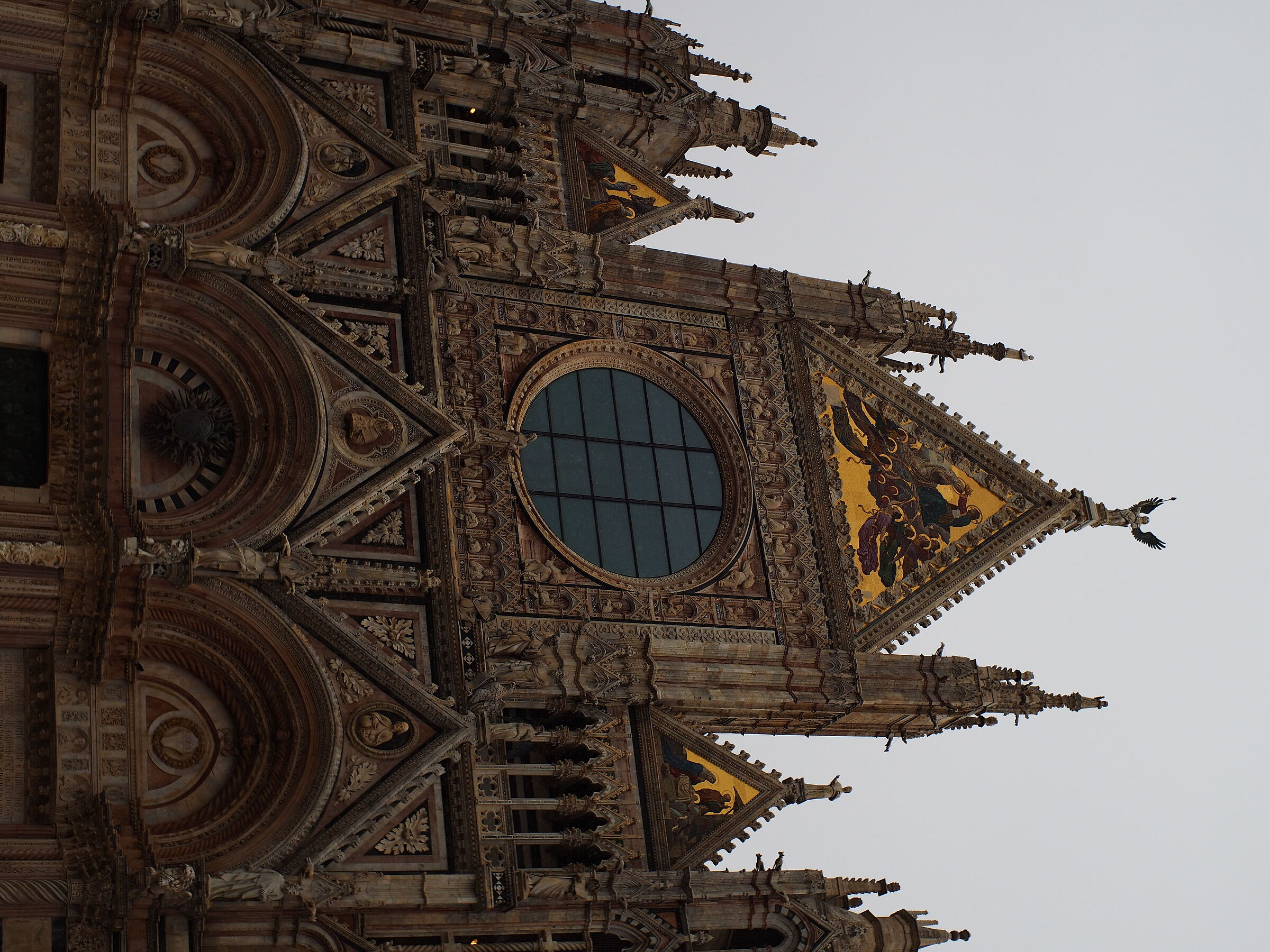 Siena