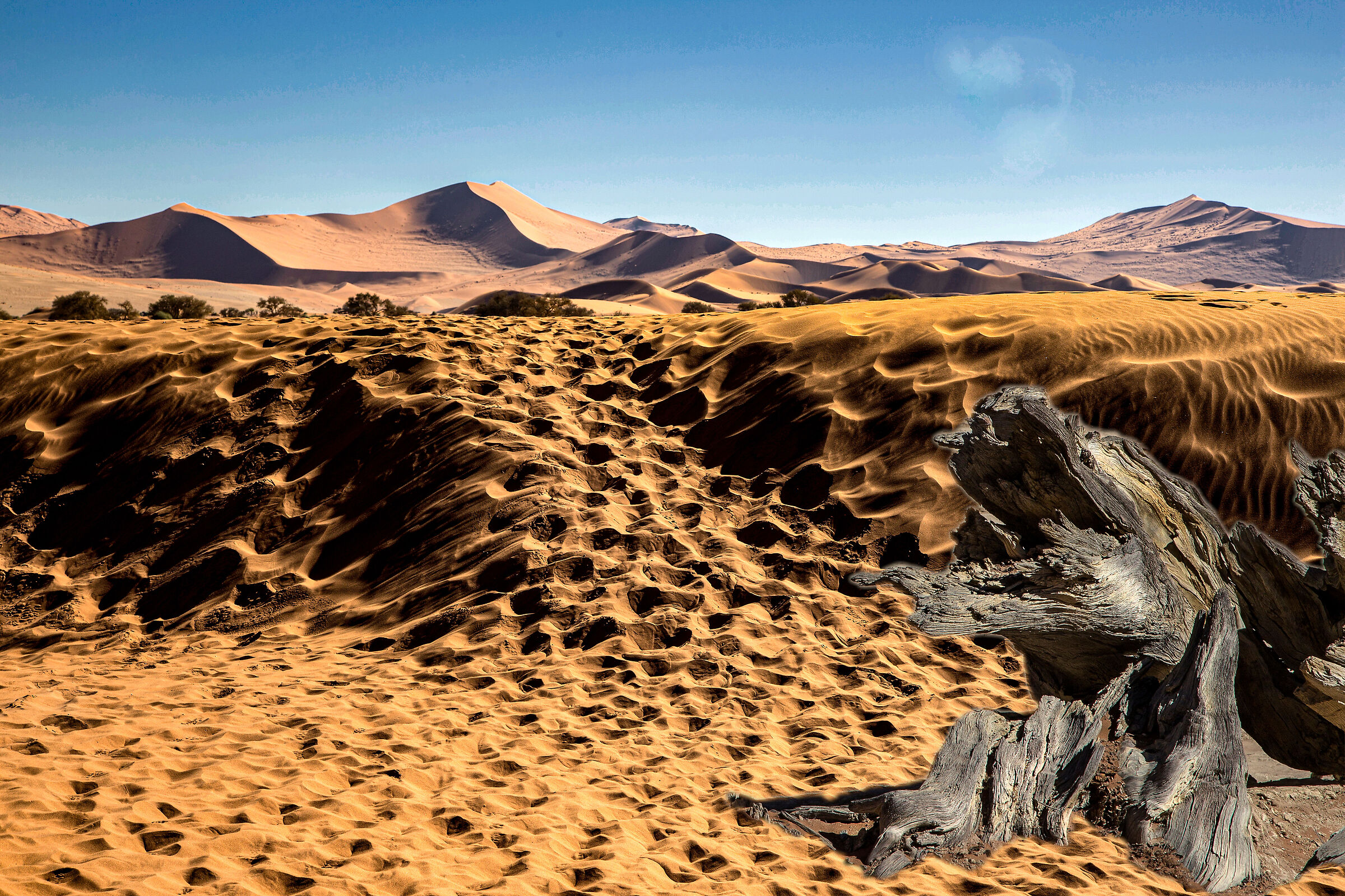 Deserts of Namibia