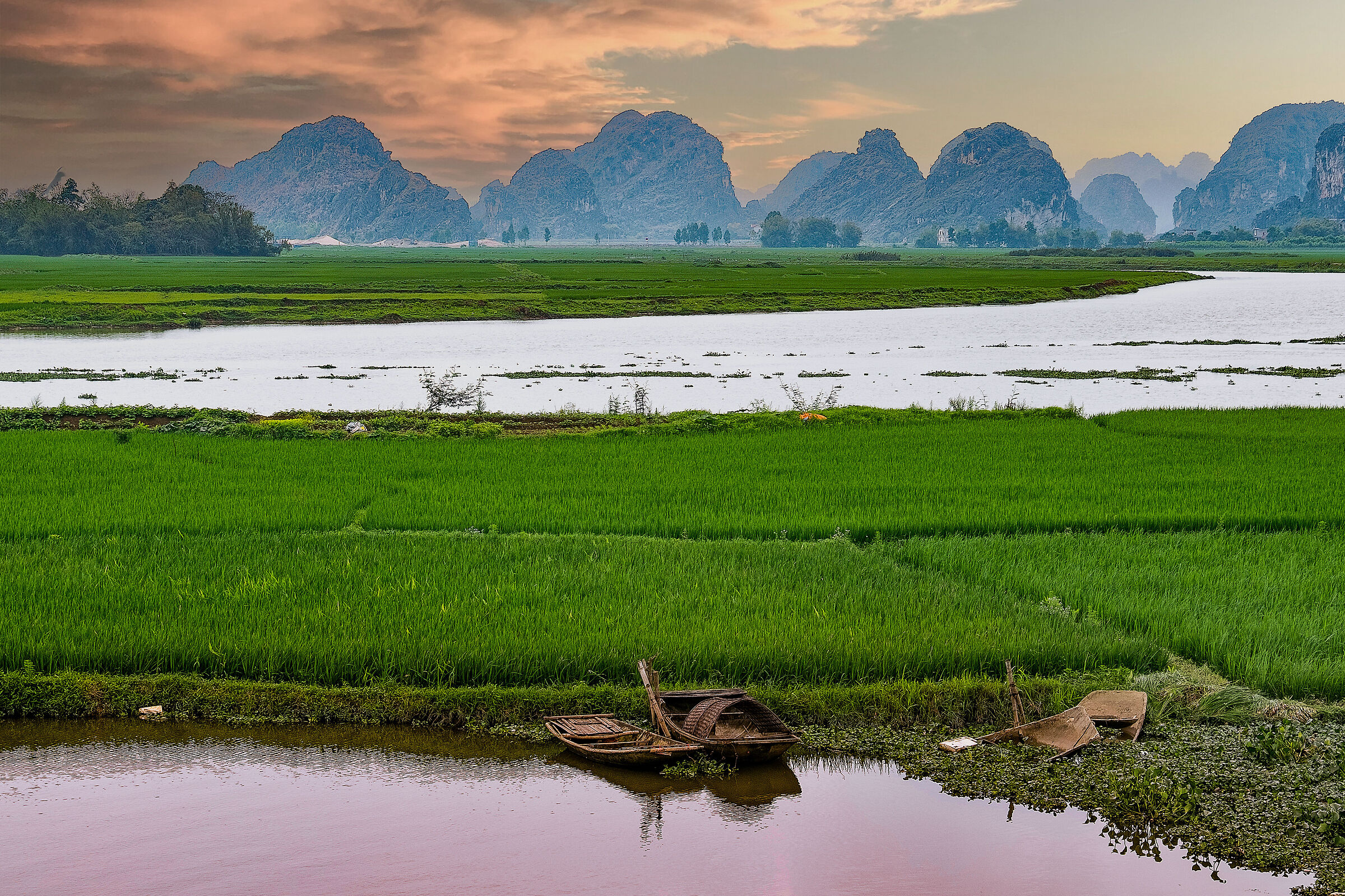 Rice paddies in Vietnam