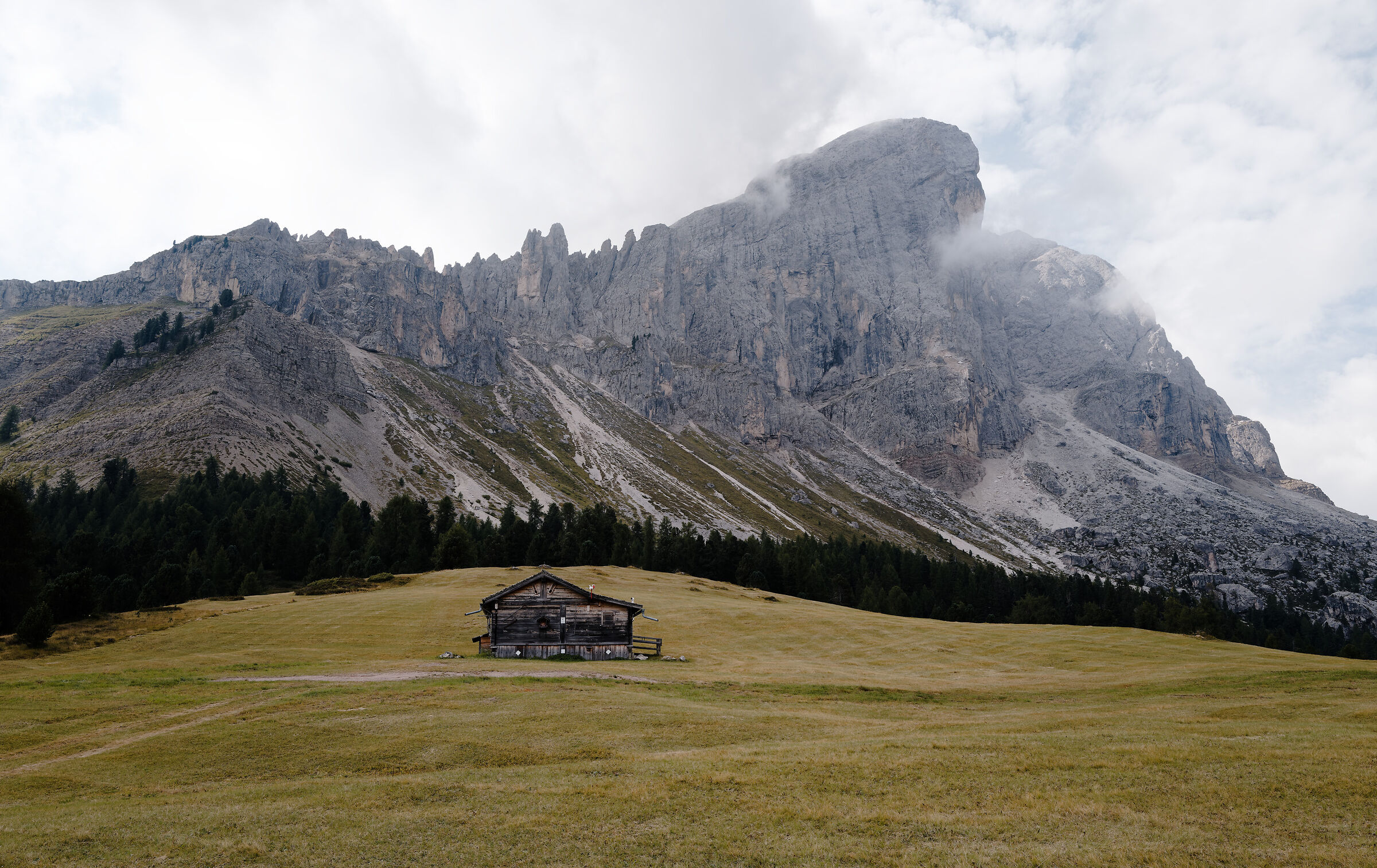 Desire for Kodachrome