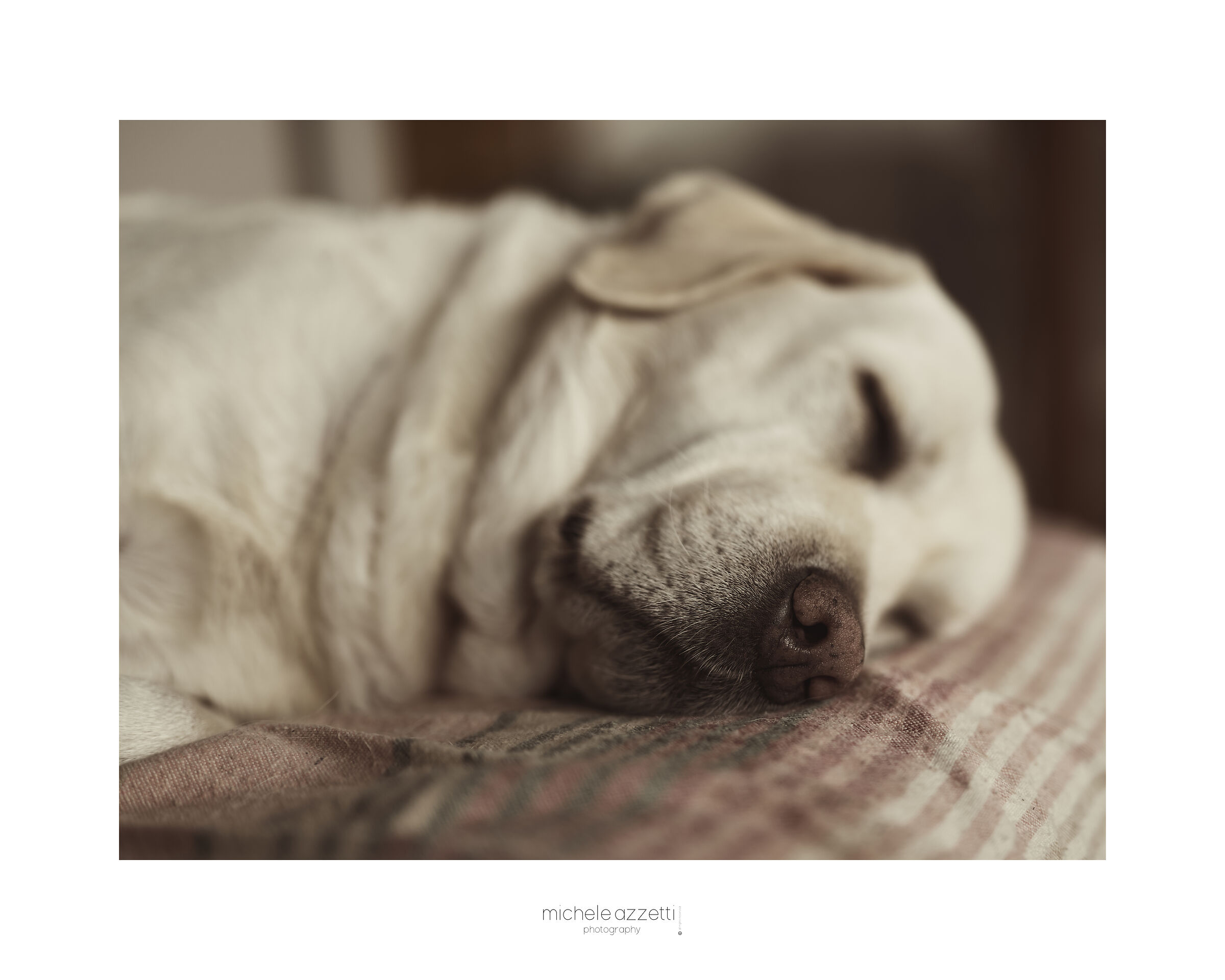 Martina