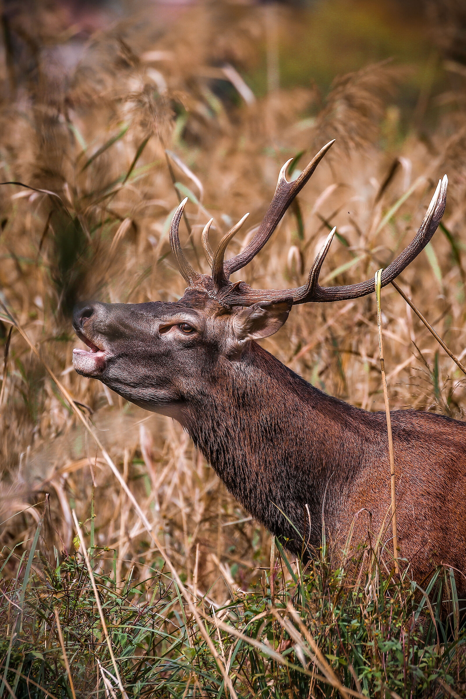 Two hours of waiting time