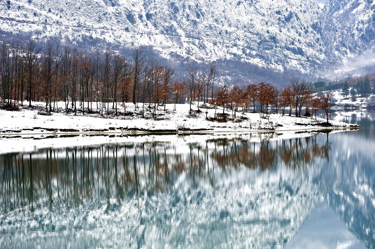 Lake in winter
