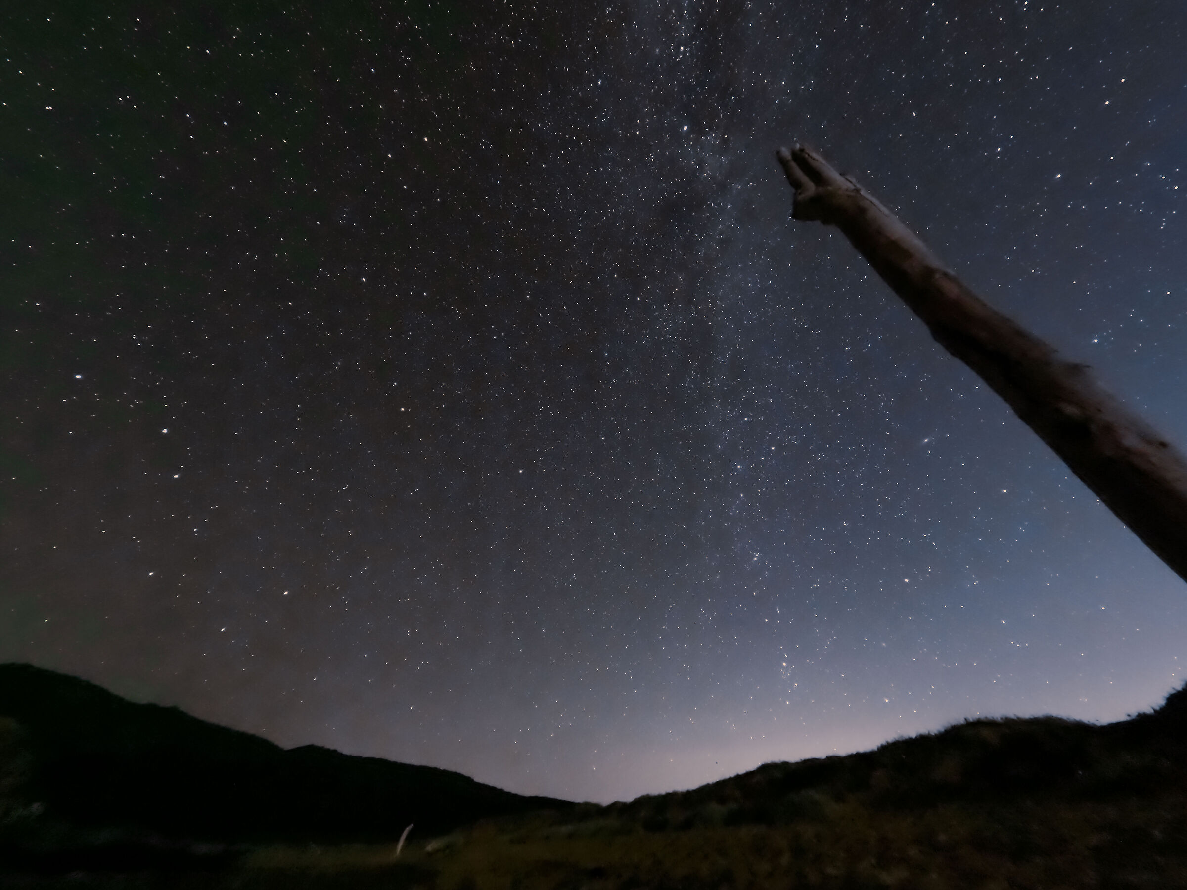 Stelle