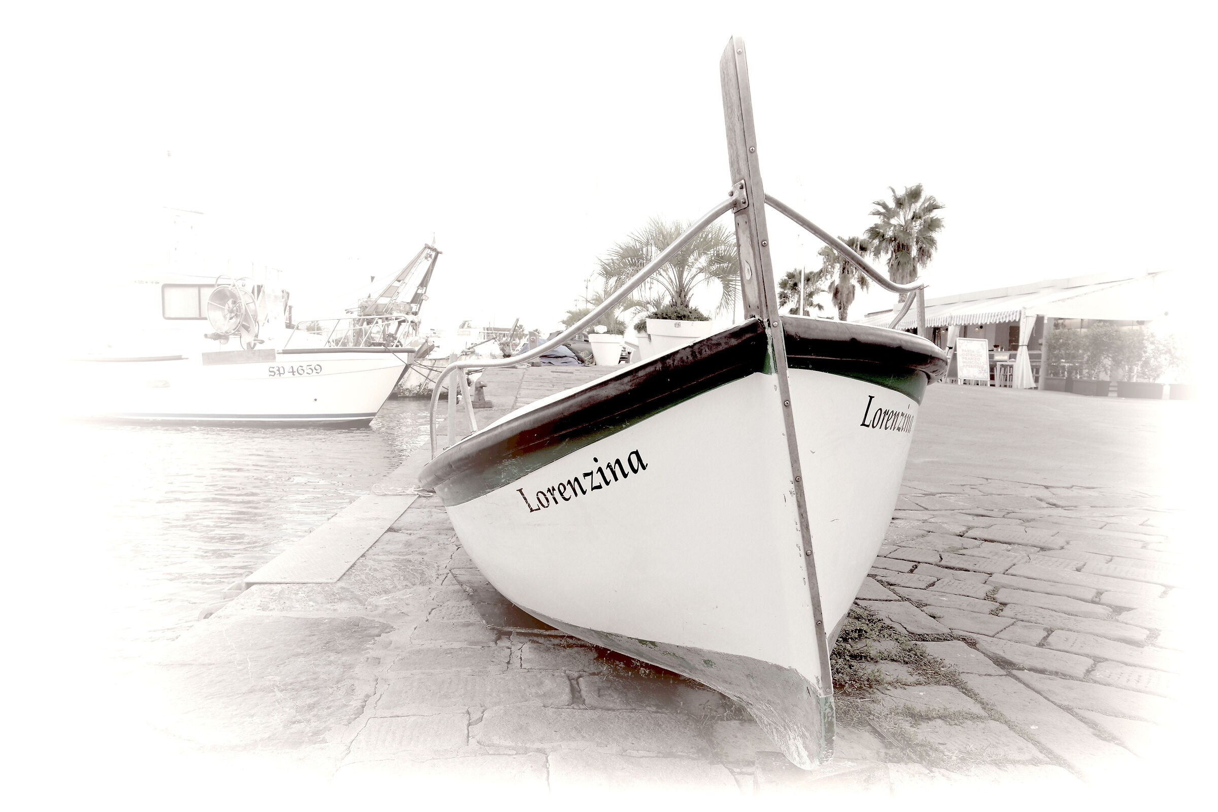 Lorenzina