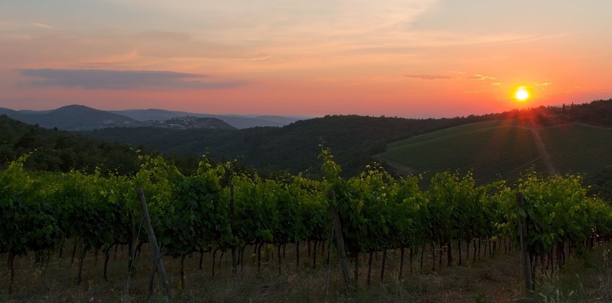 Between wine and nature