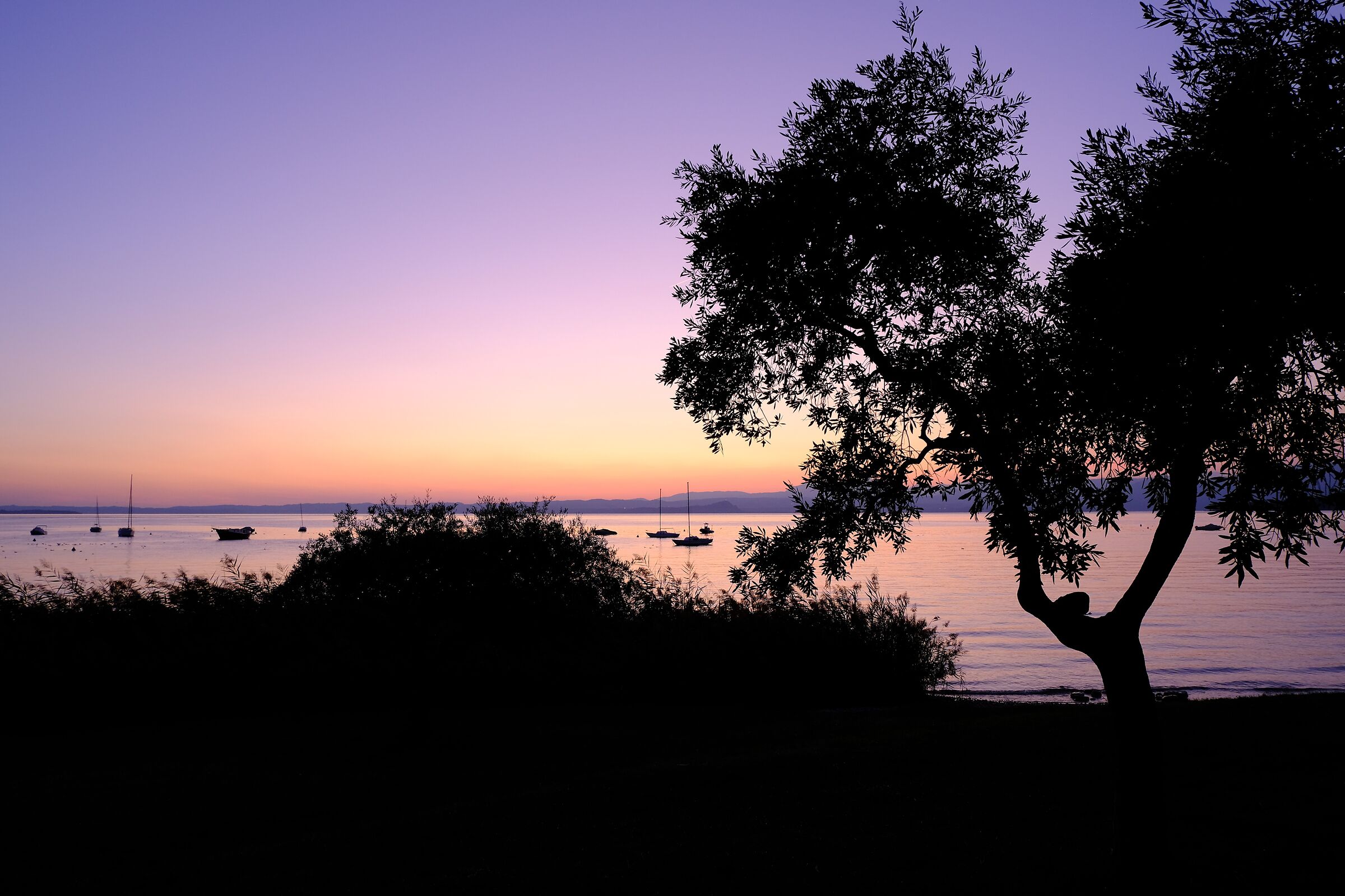 Bardolino.