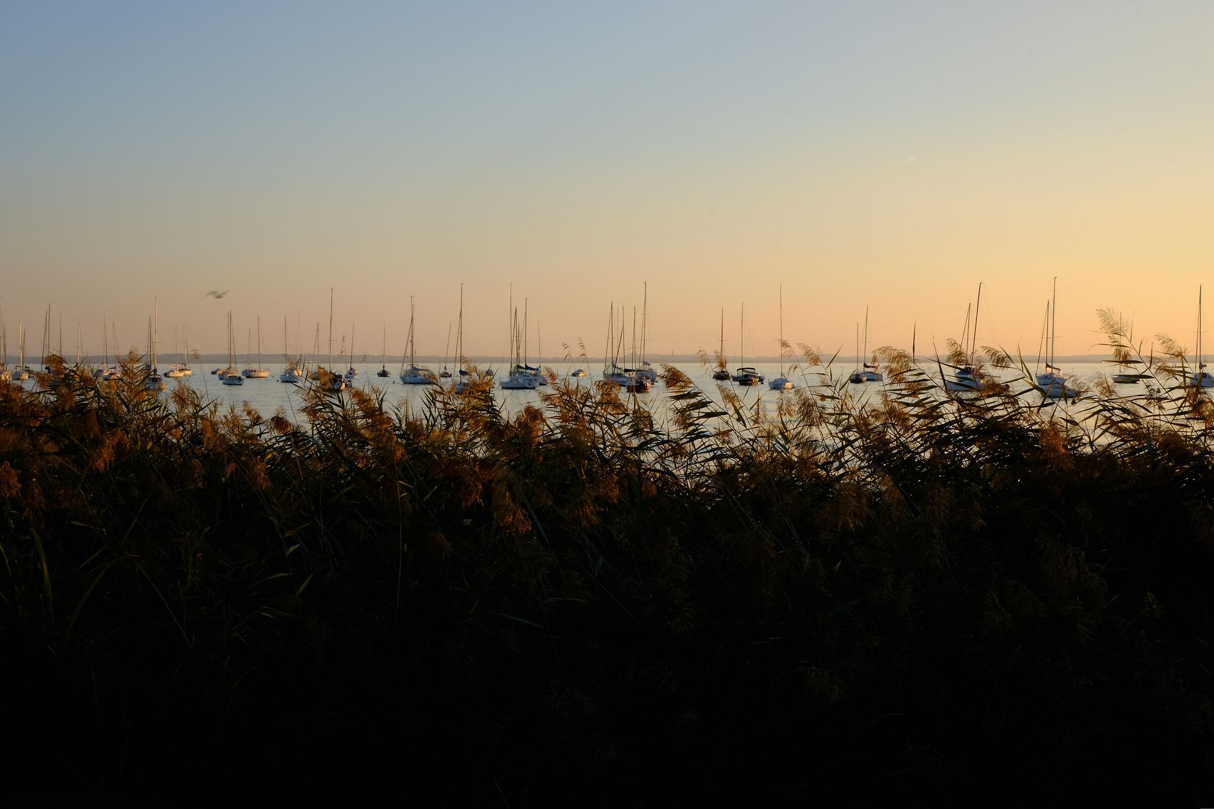Bardolino.