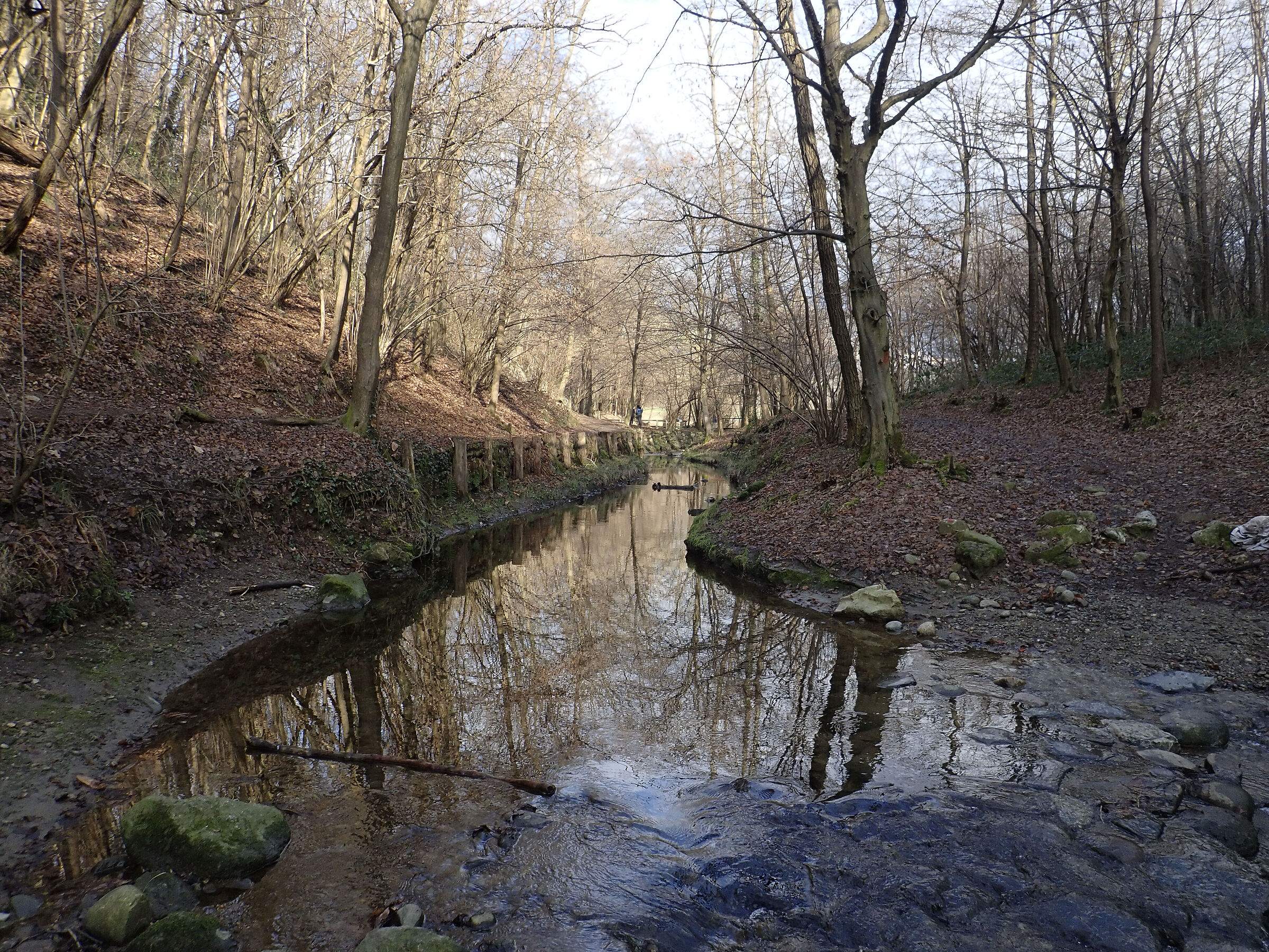 Untitled Photo