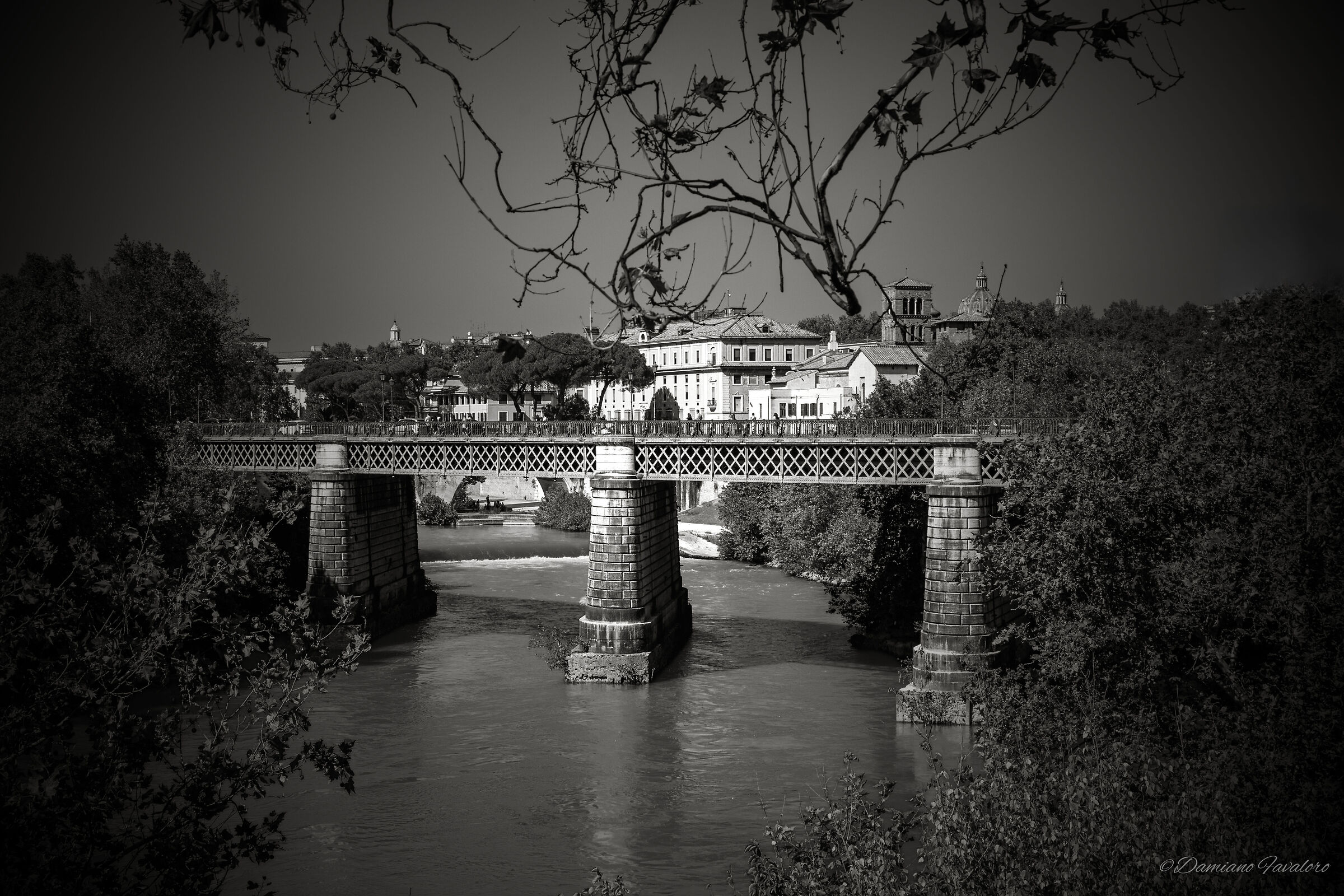 Palermo - The Cathedral