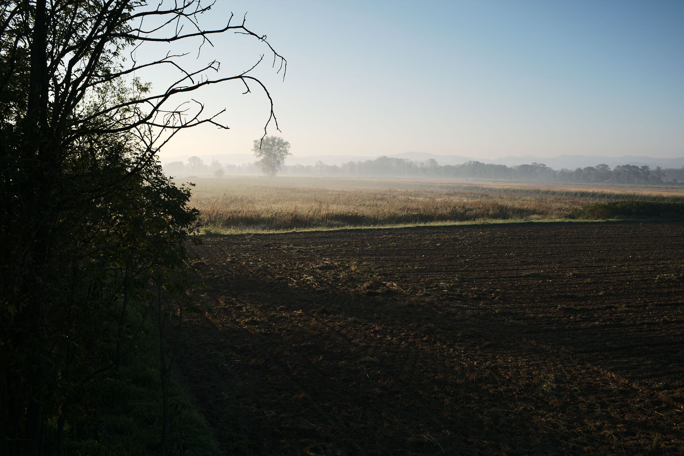 Fredda mattina di inizio autunno