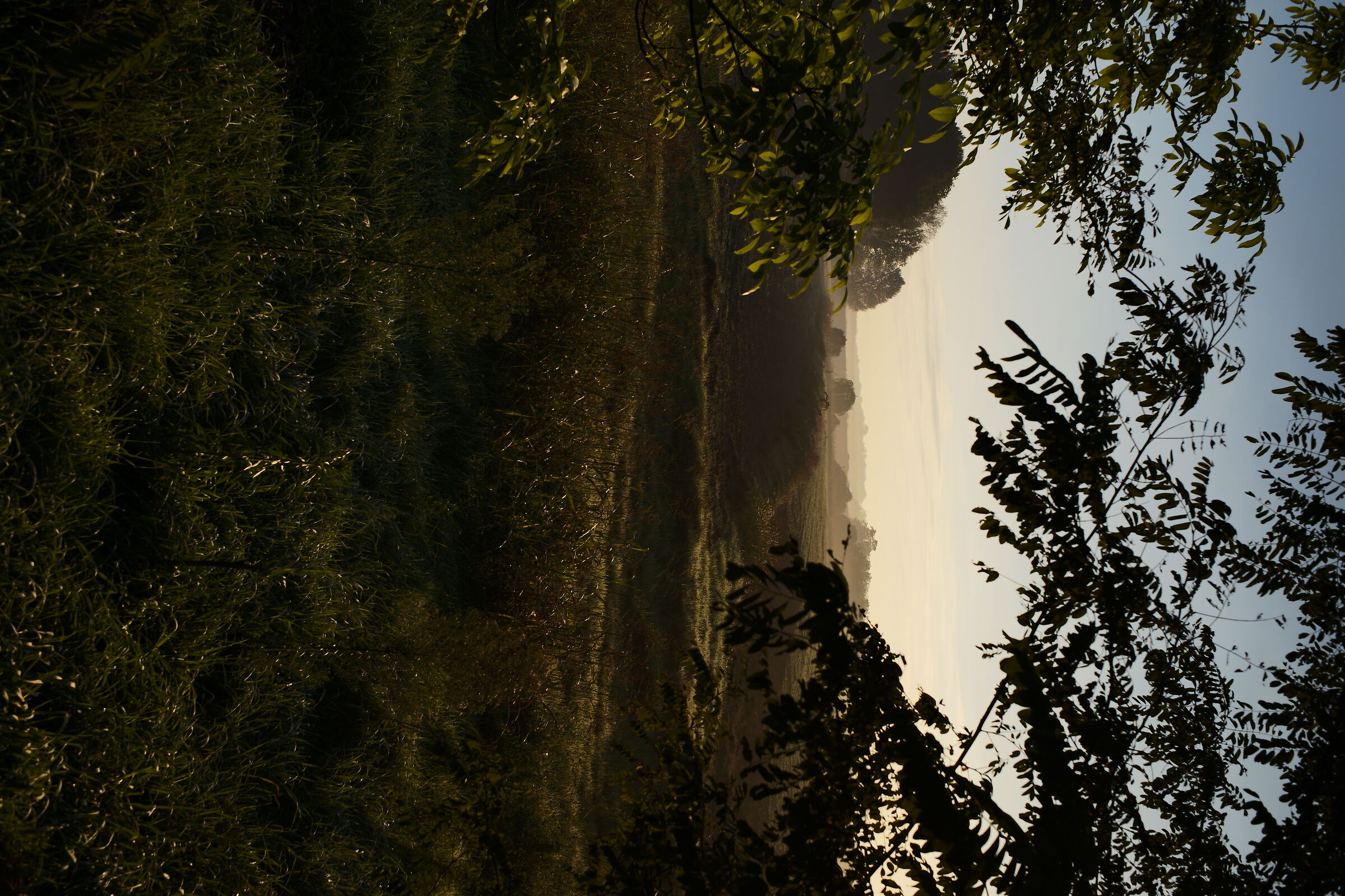 Primo ottobre, i colori iniziano a cambiare