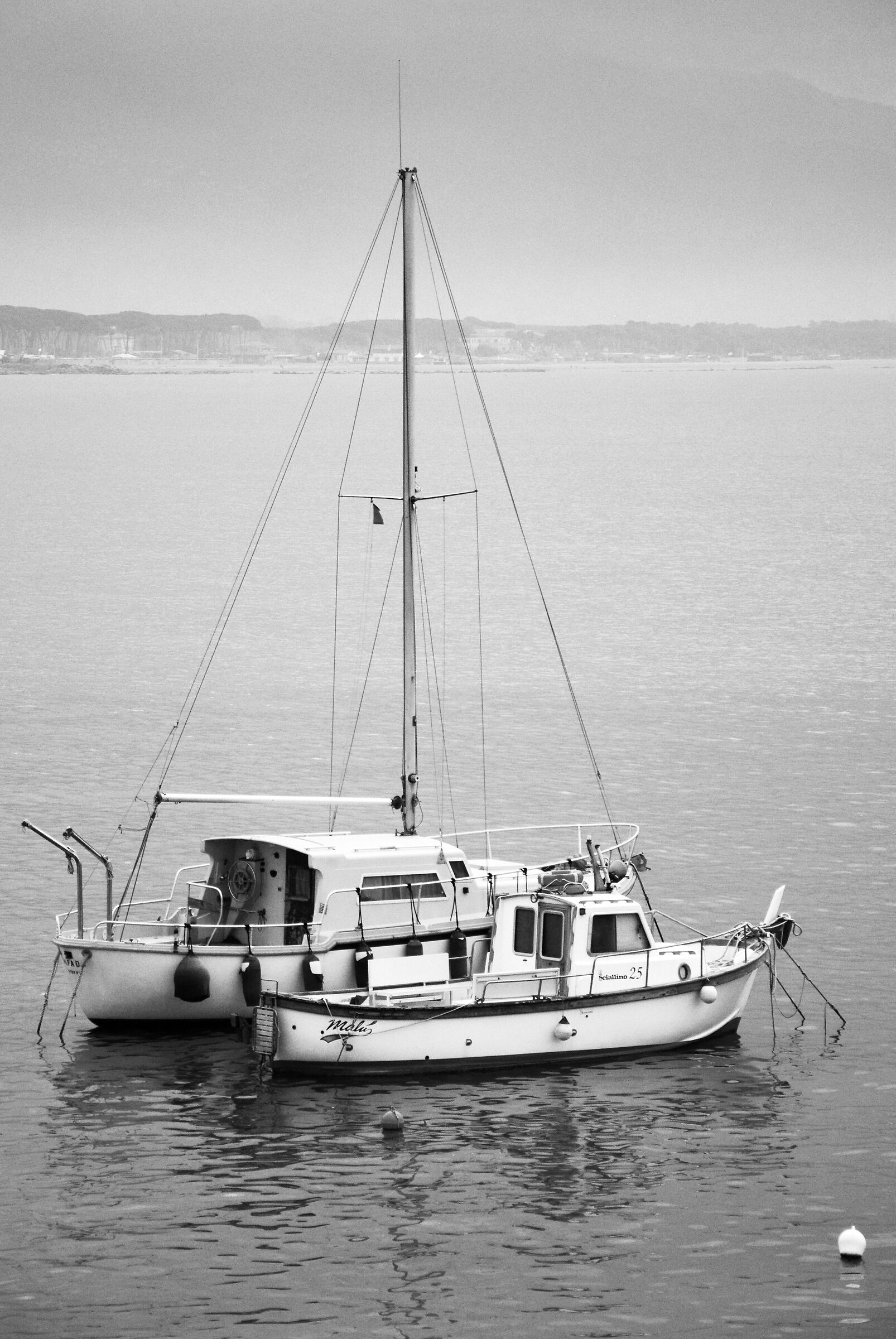 DSC_0010
