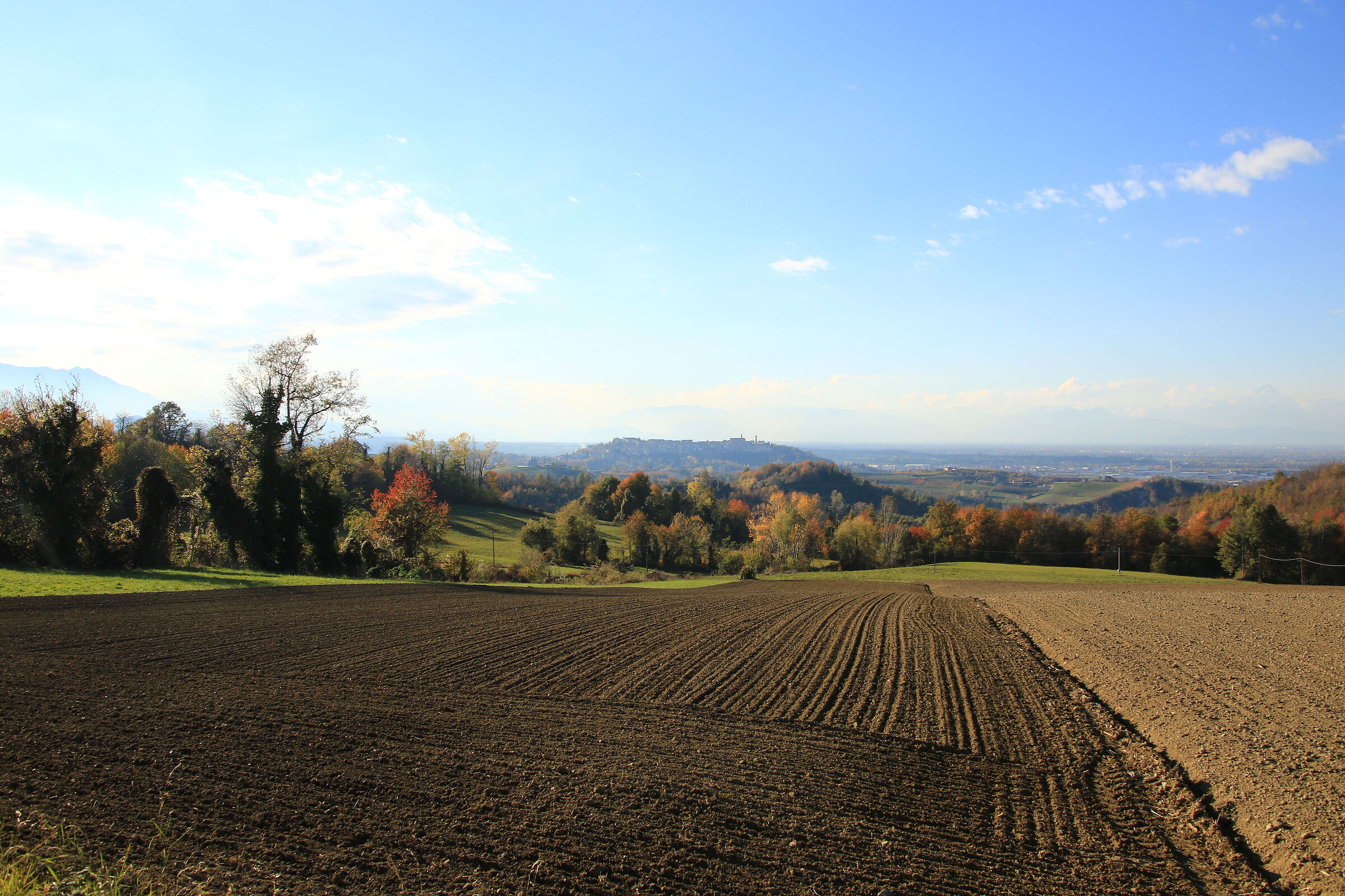 Monregalese in autunno