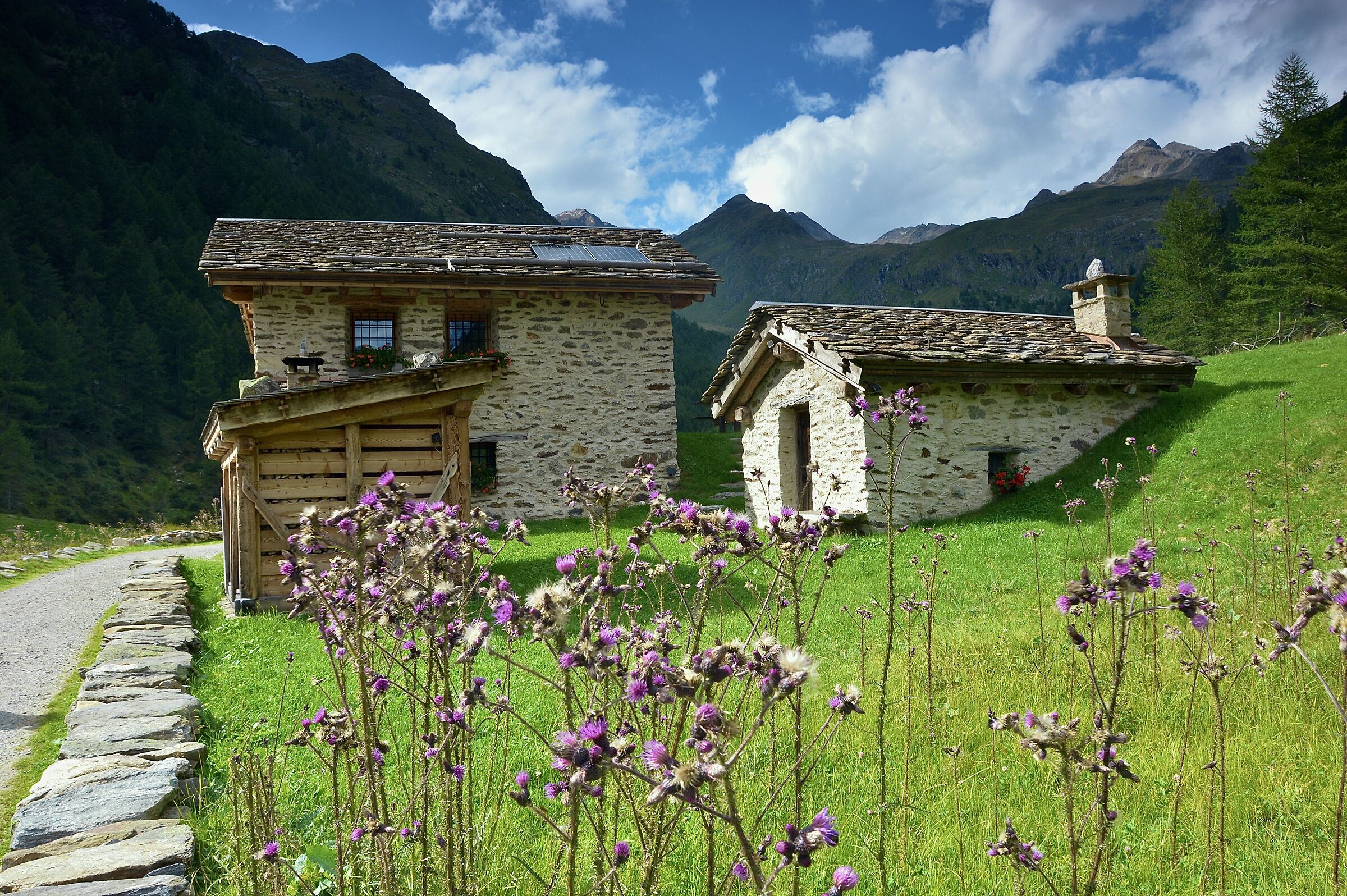My idea of a house in the mountains