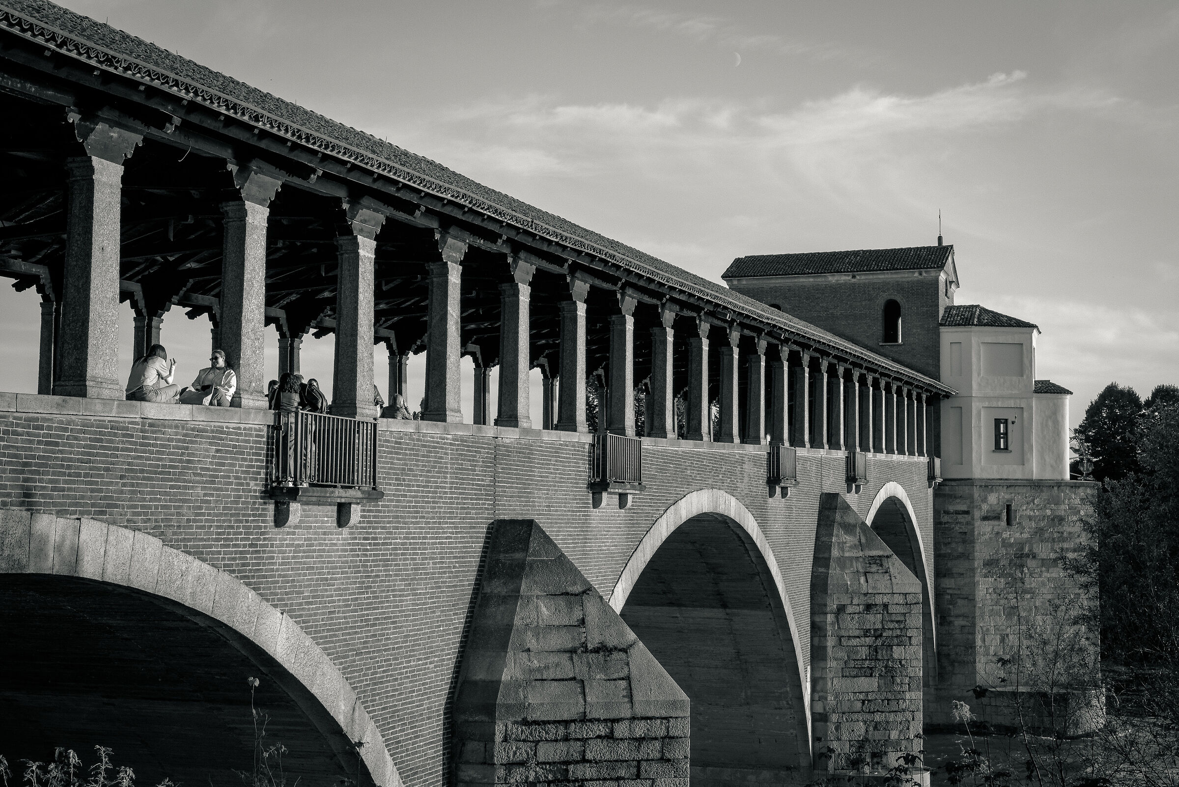 Pavia