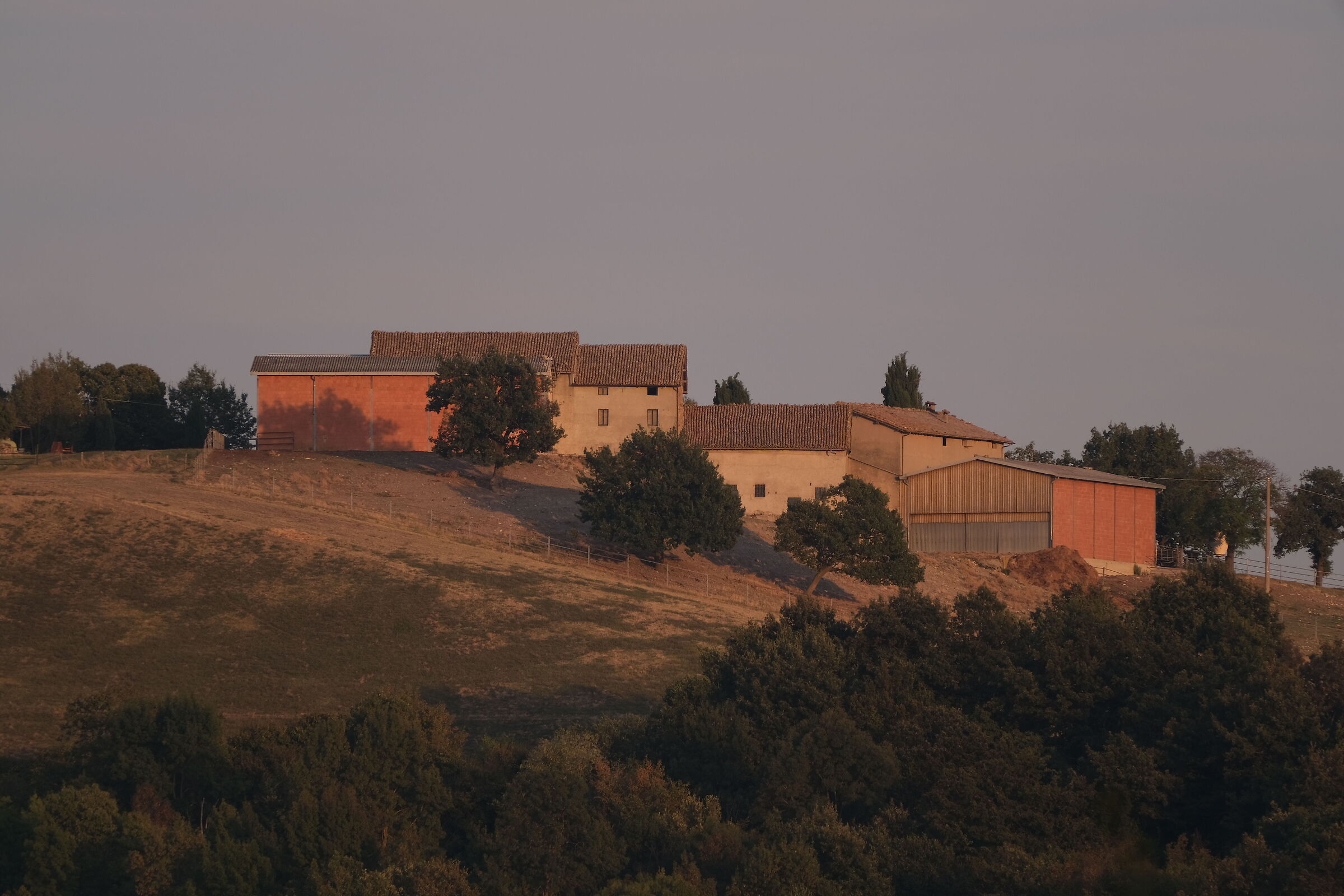 Rural landscape in the evening