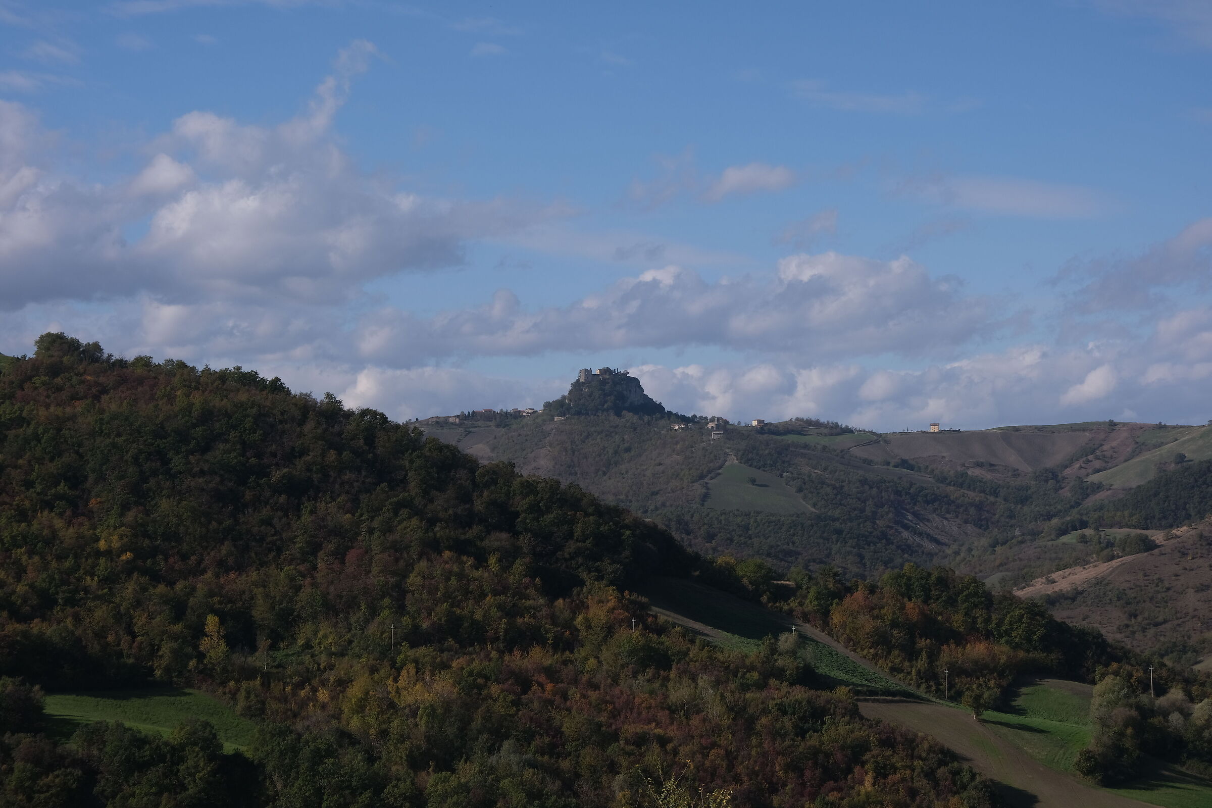 Terre di Canossa