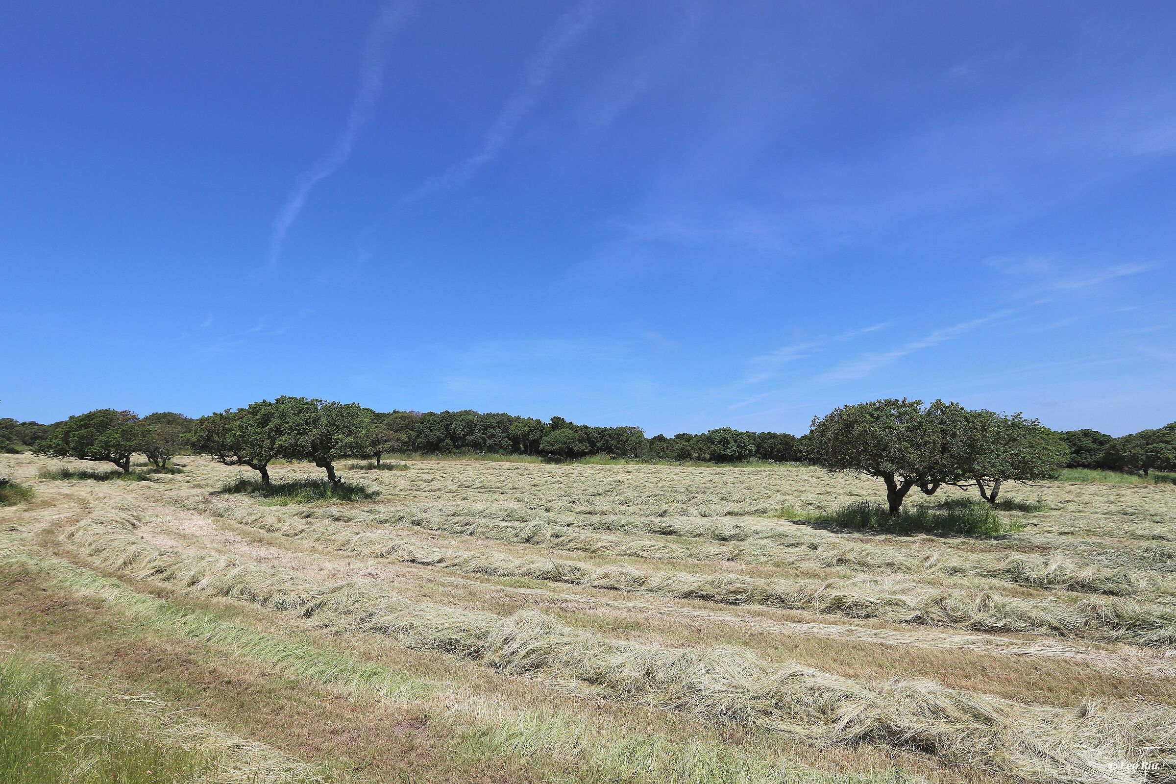 Sardinia, between earth and sky
