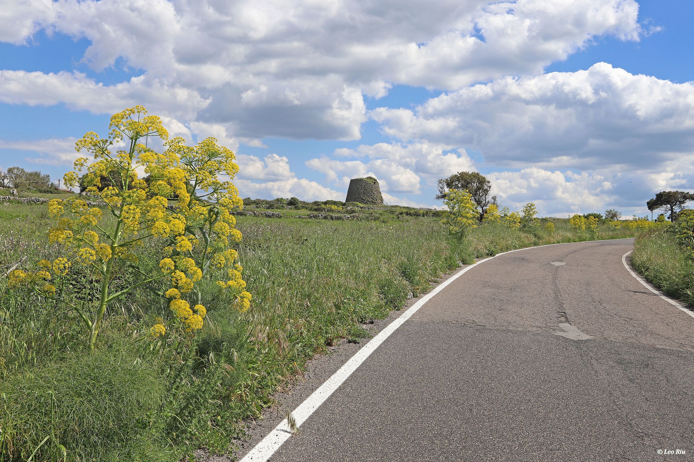 Sardinia, ferules and nuraghe