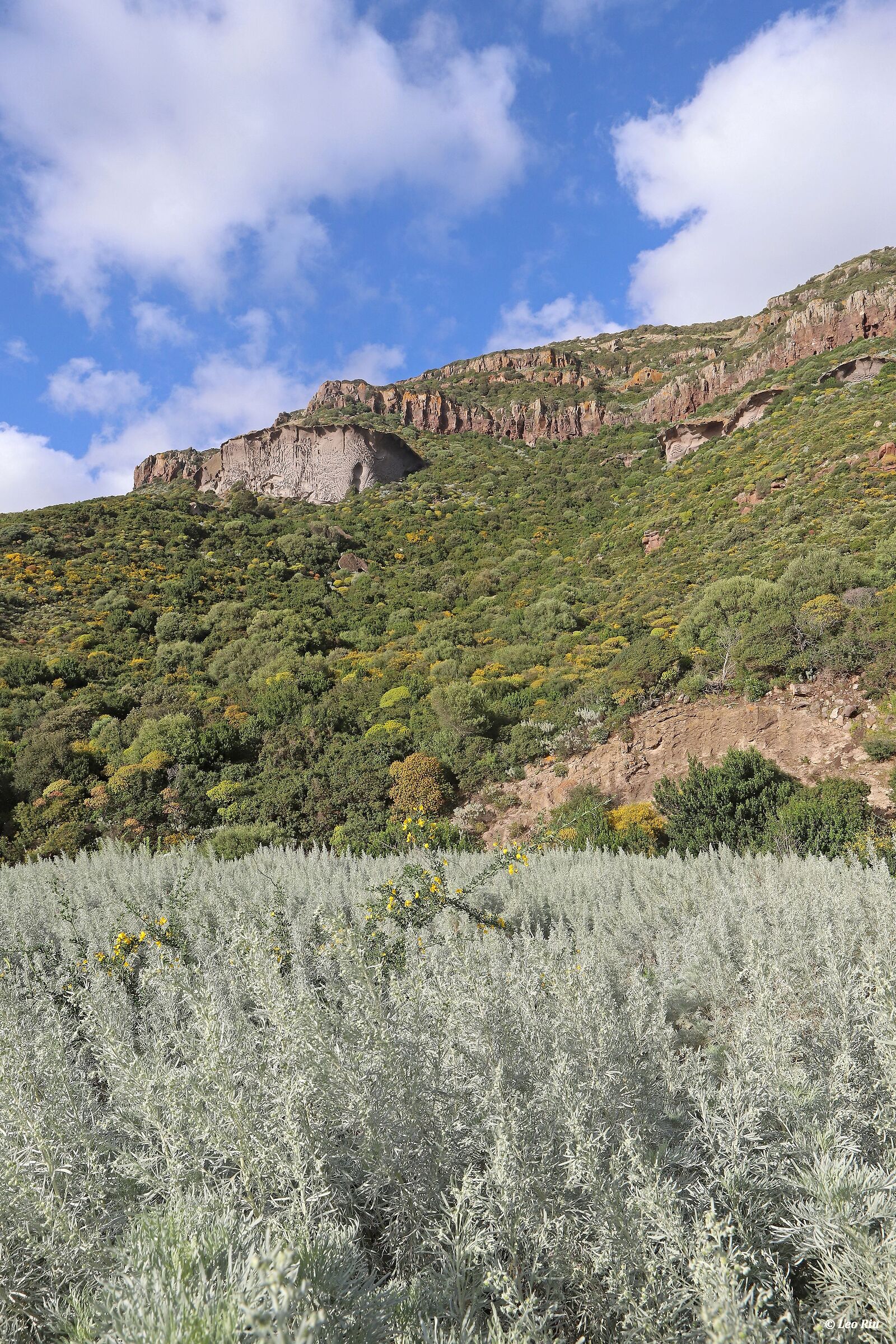 Sardinia, "Sa rocca pinta"
