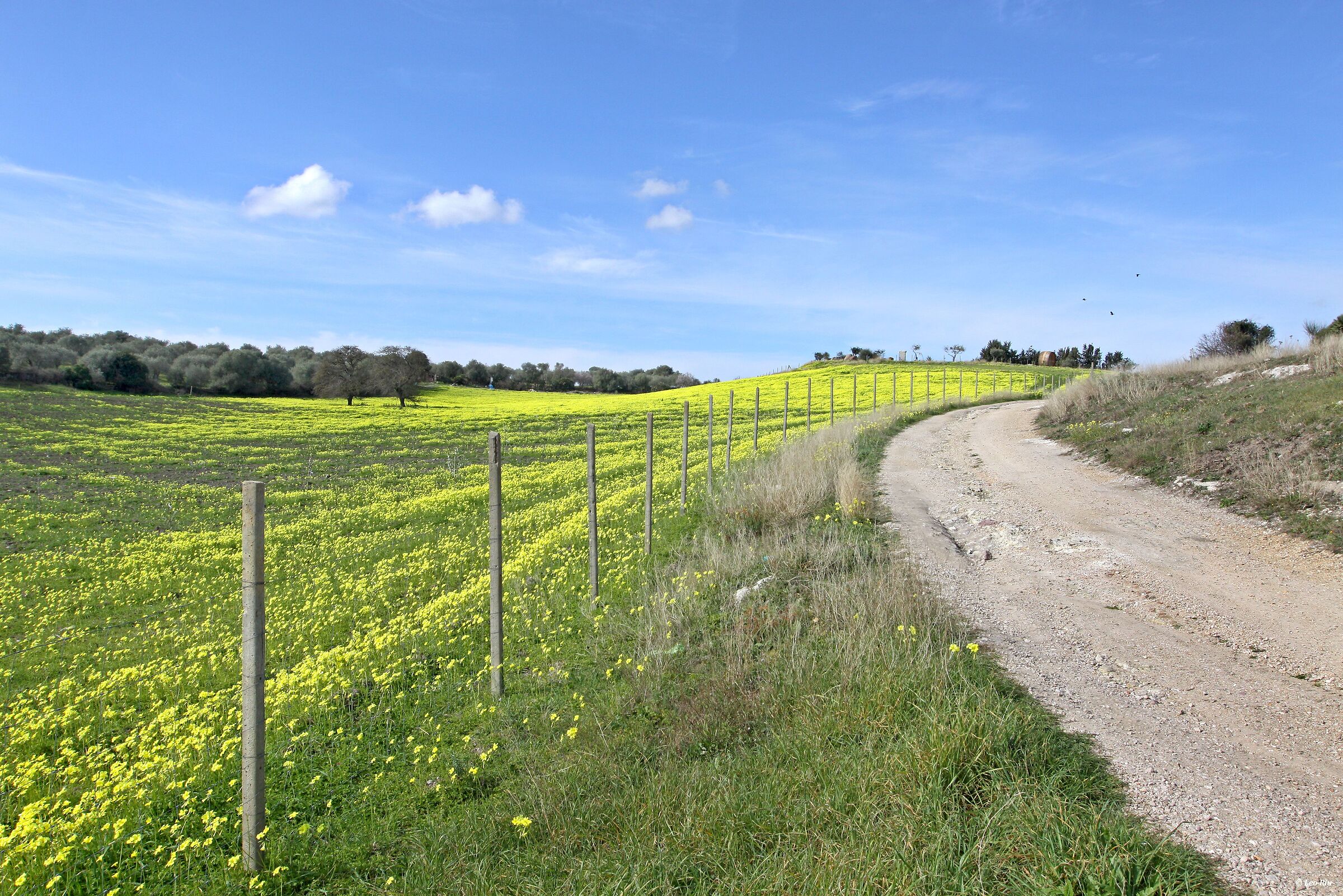 Sardegna, Oltre la collina