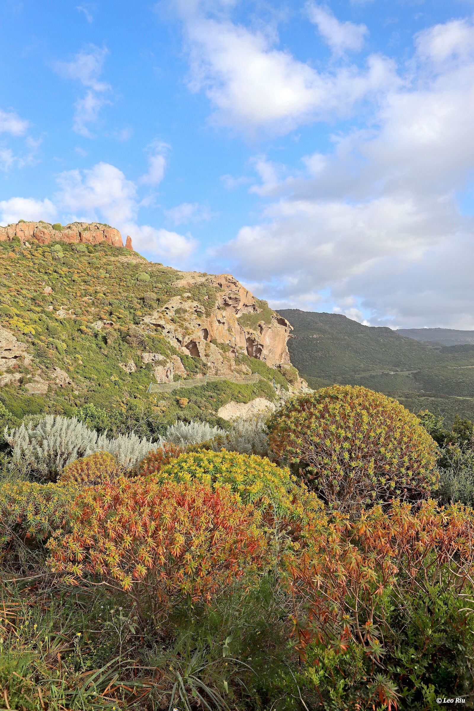 Sardinia, Mediterranean scrub
