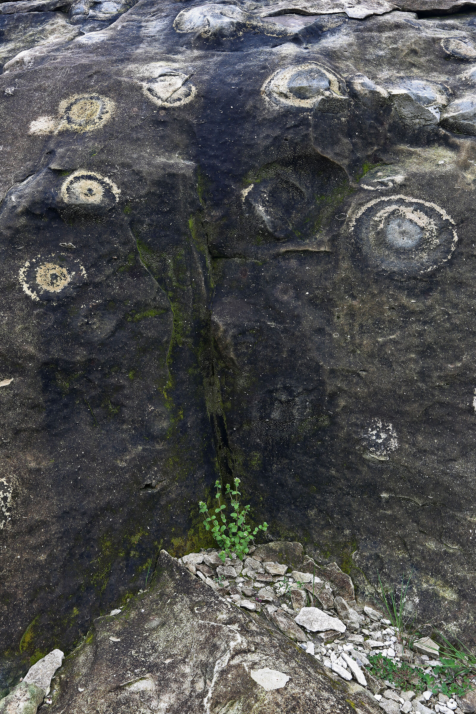 Rocks that resemble the cosmos