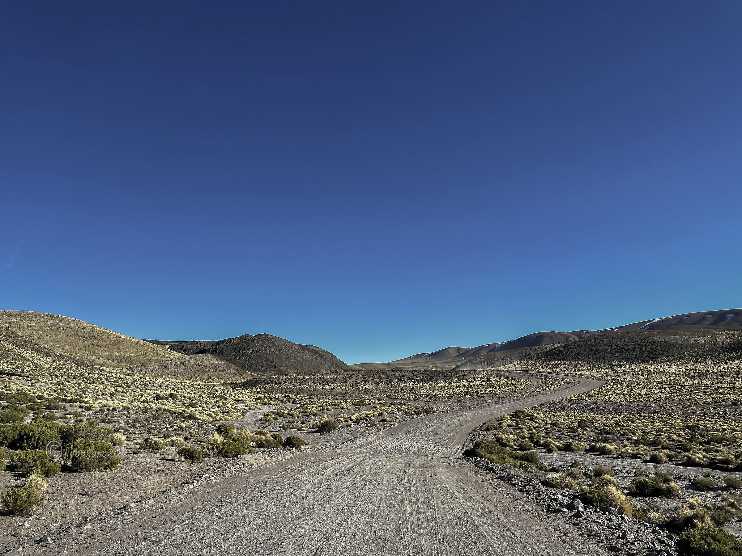 Along the roads of the Puna