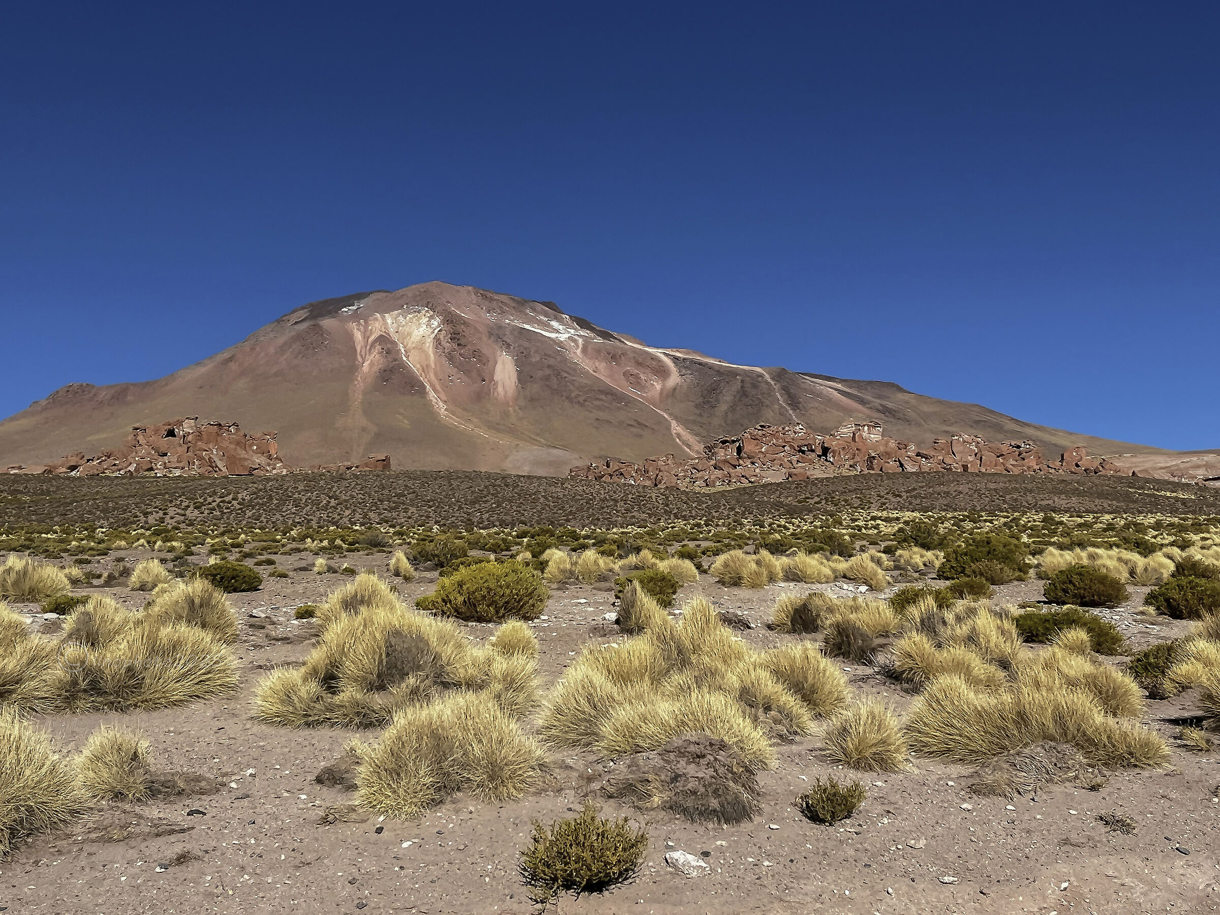 Along the roads of the Puna
