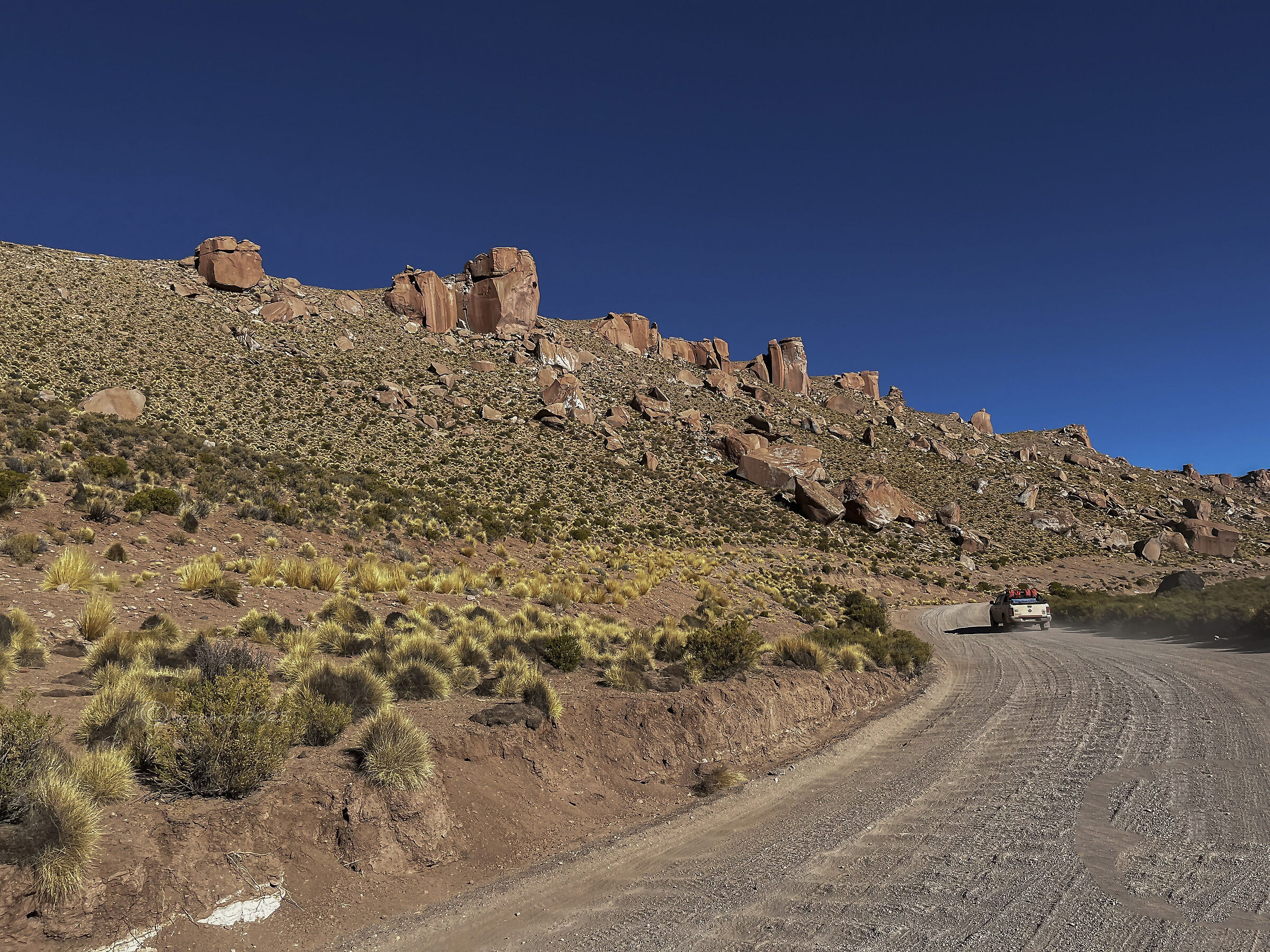 Along the roads of the Puna